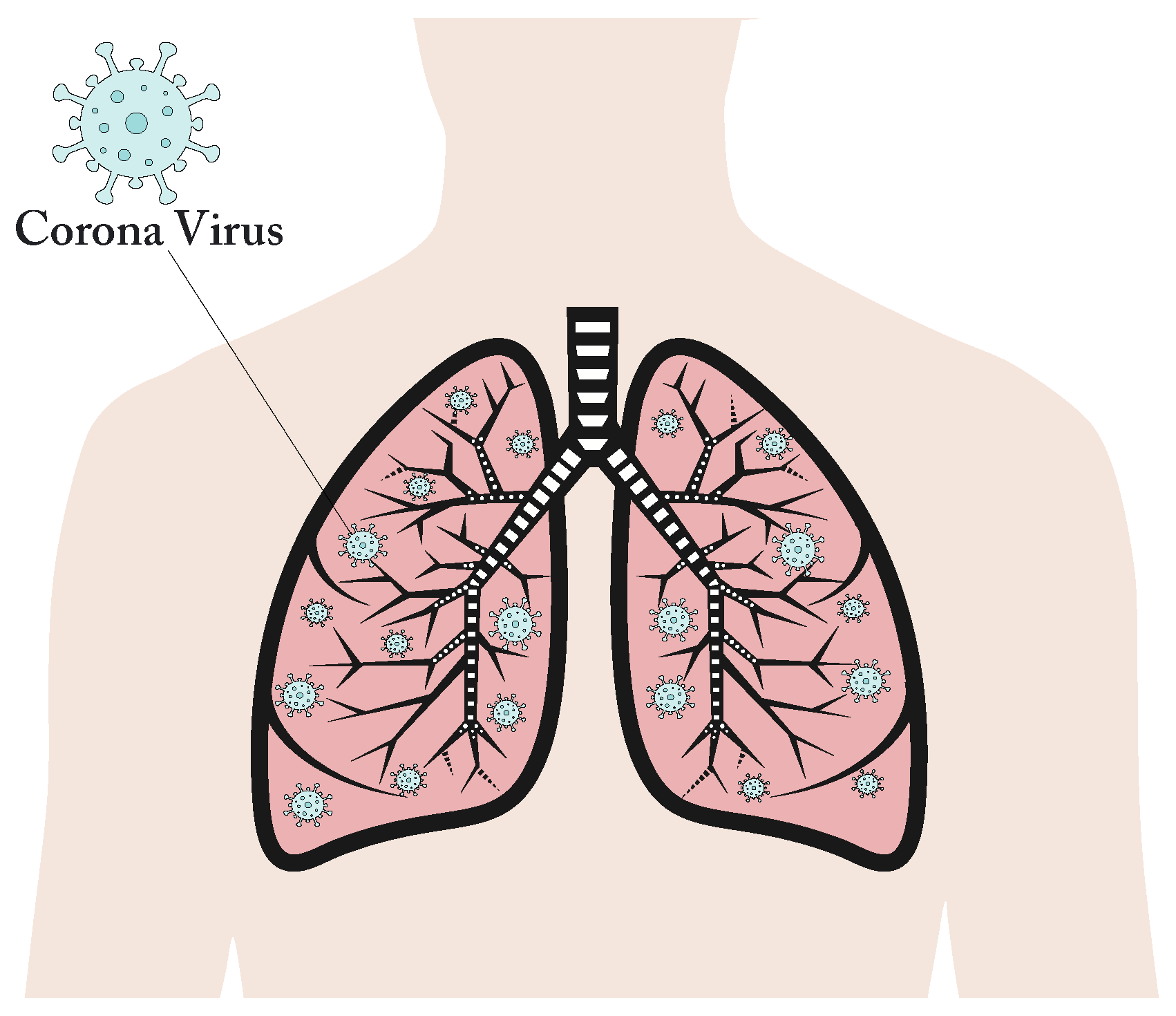 Diagnostics 13 01675 g001