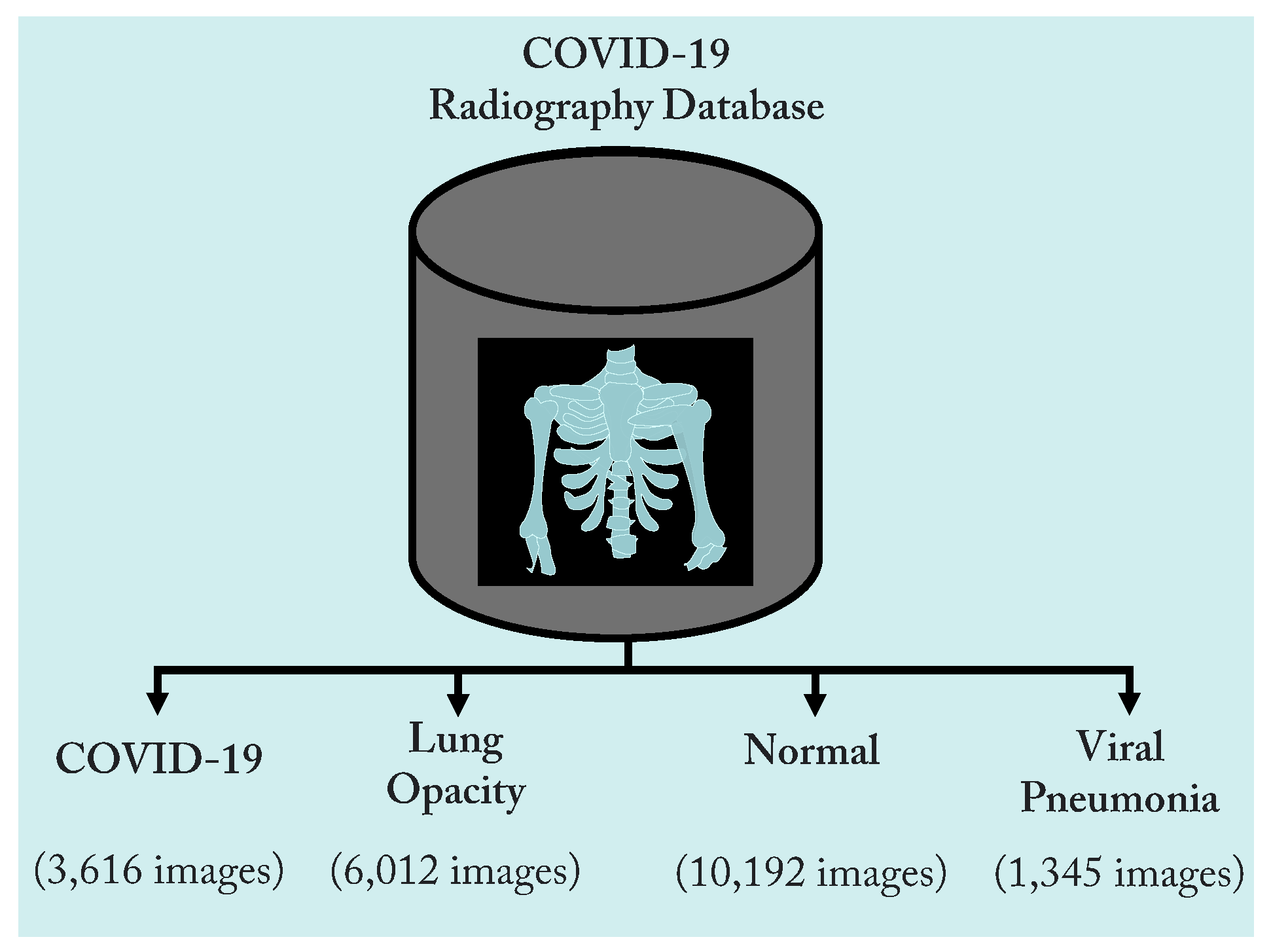 Diagnostics 13 01675 g002