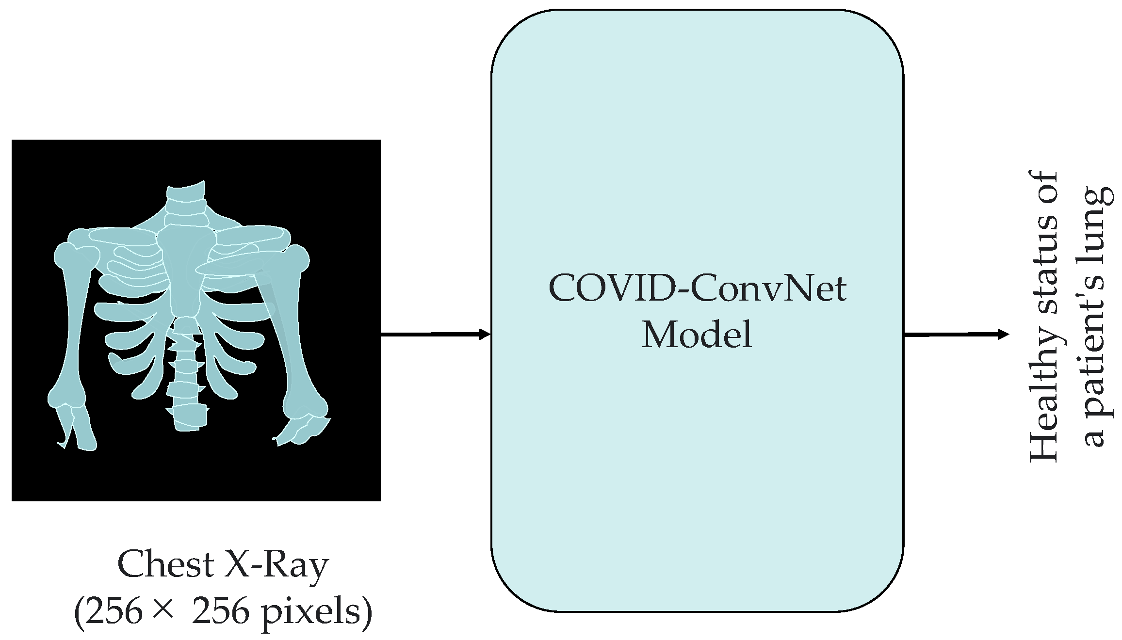 Diagnostics 13 01675 g004