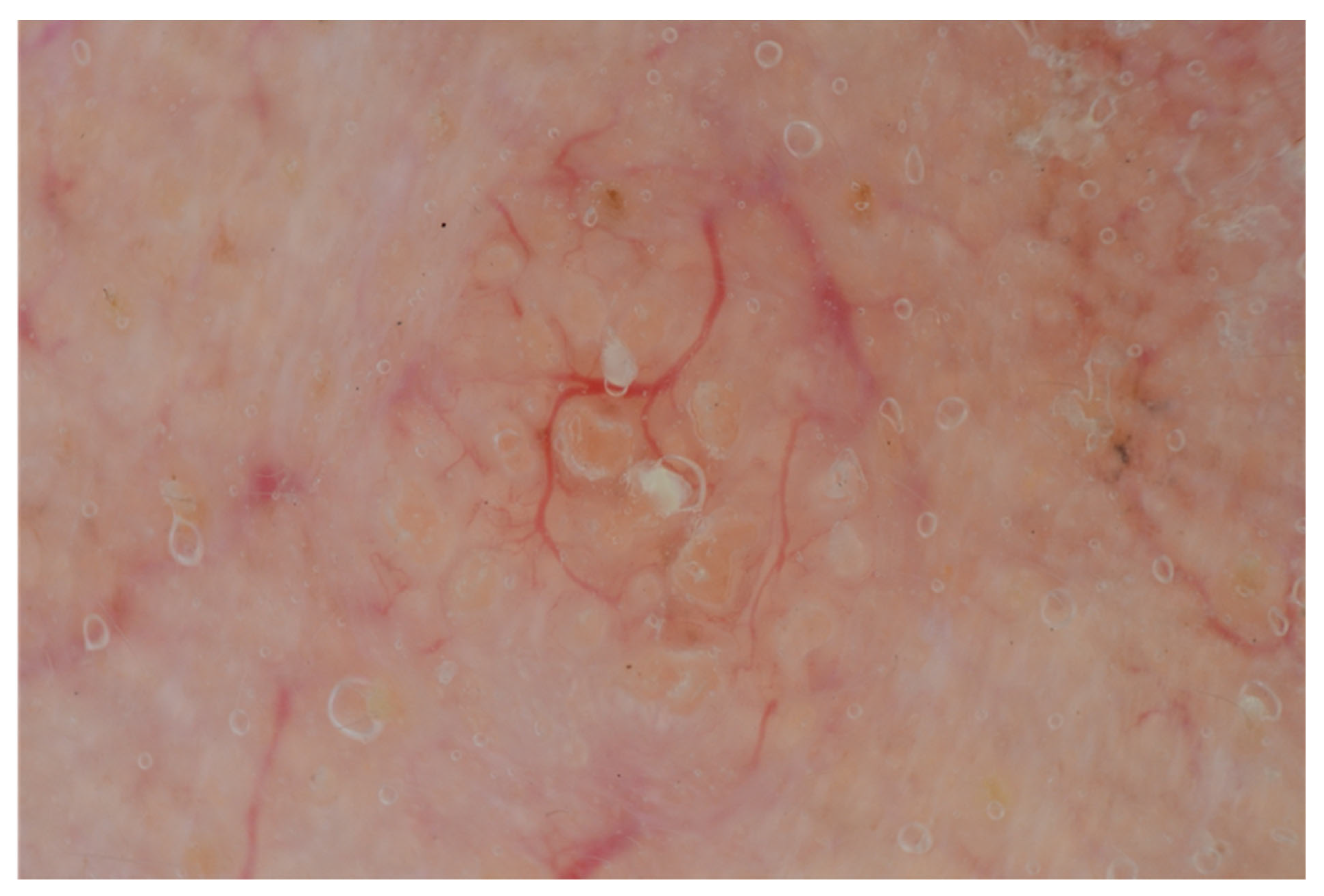 Diagnostics 13 01676 g002