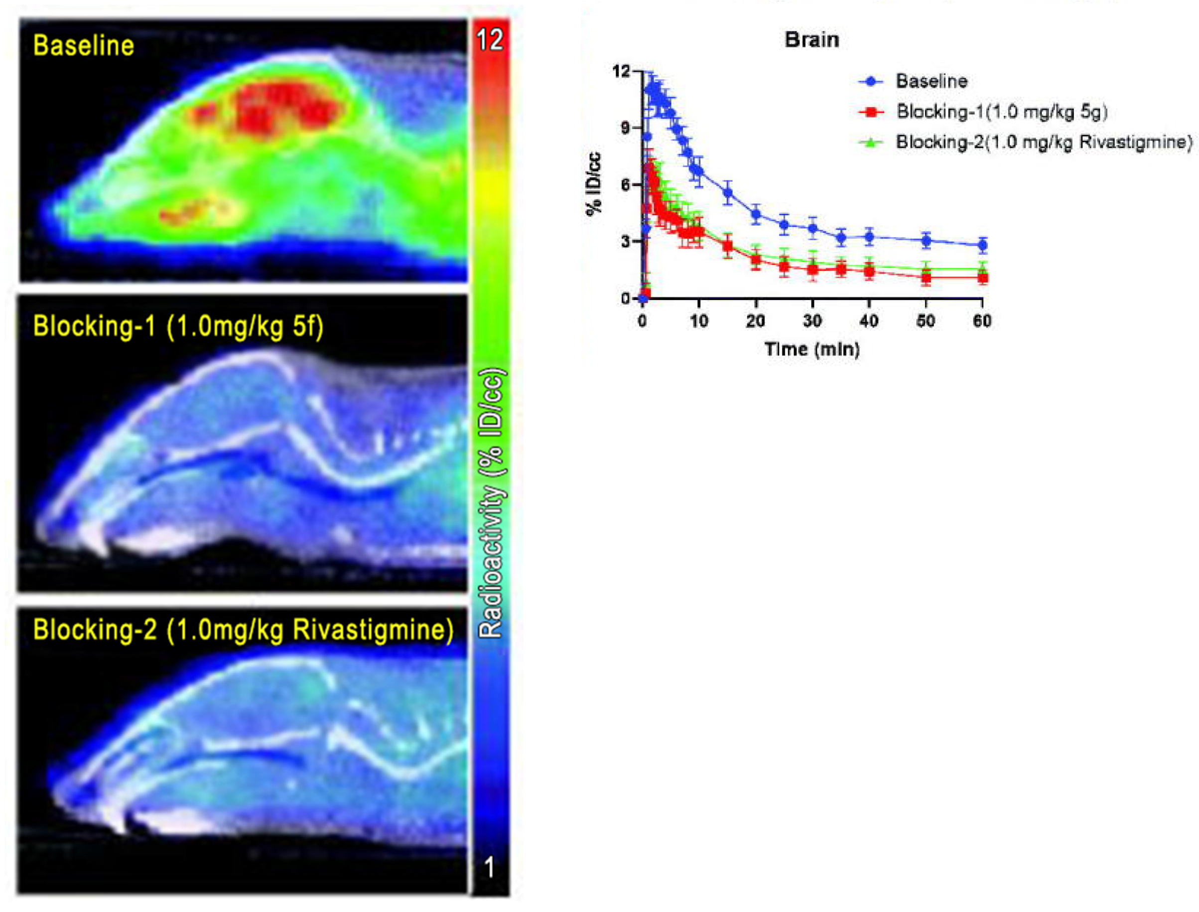 Diagnostics 13 01682 g002