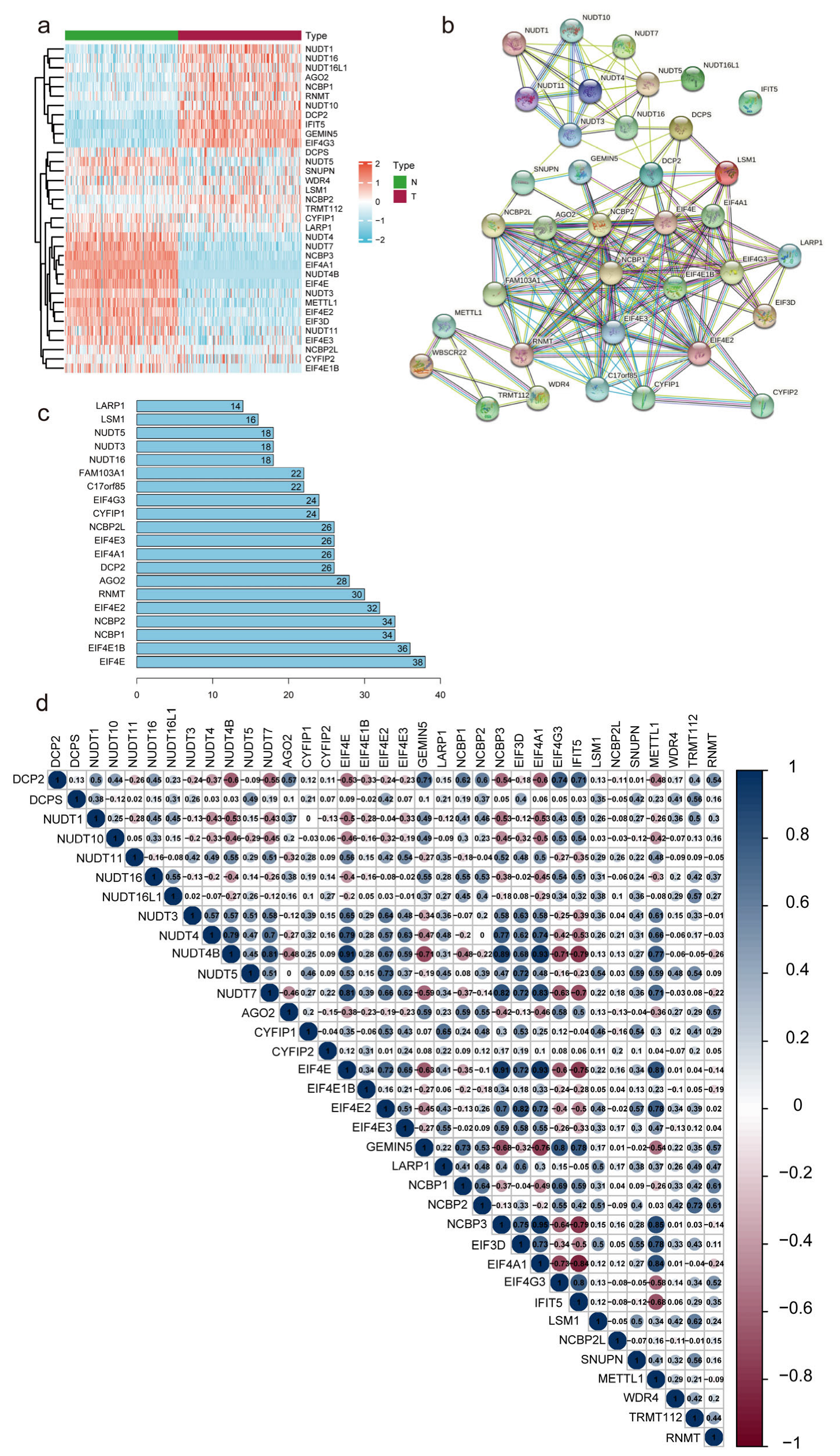 Diagnostics 13 01697 g002