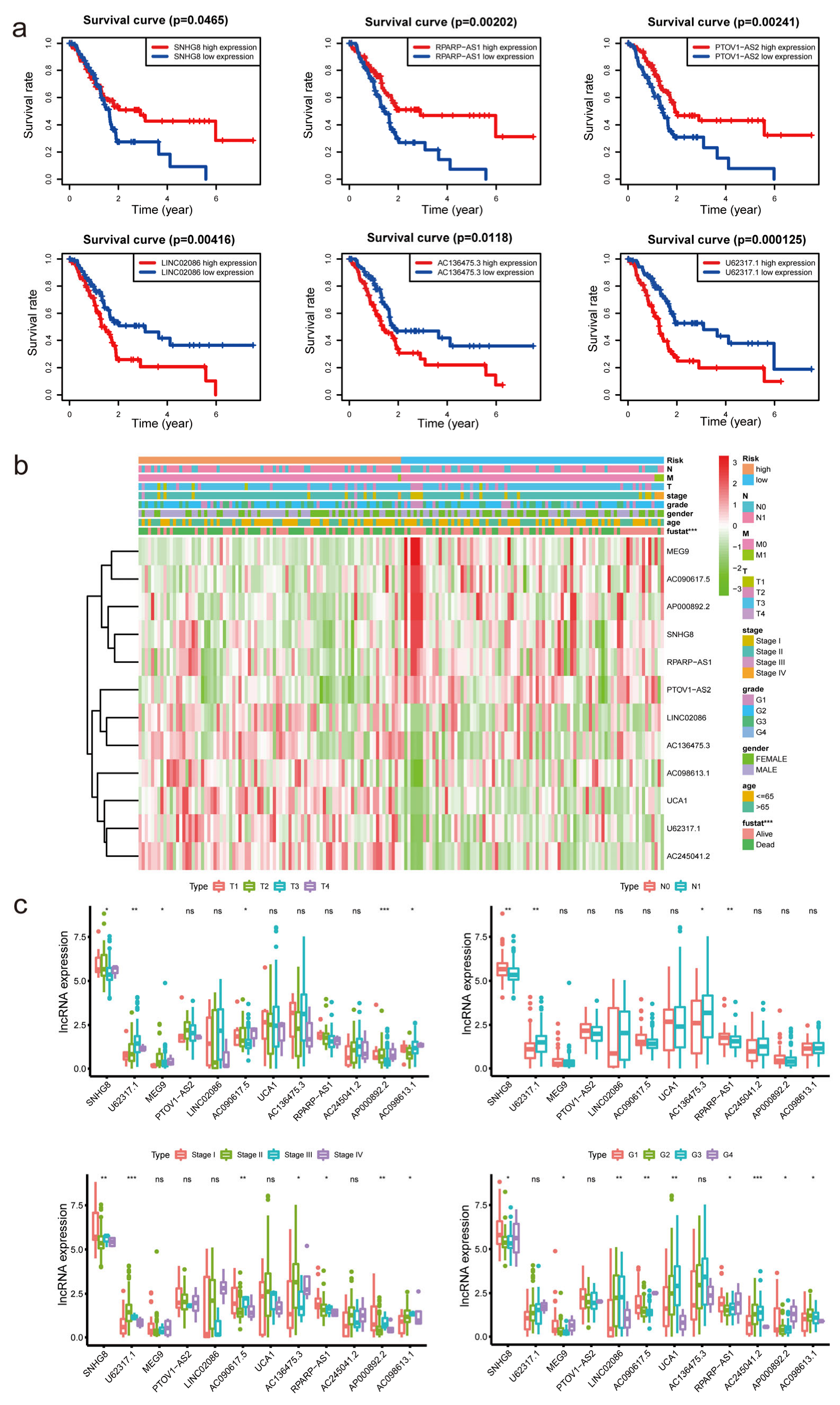 Diagnostics 13 01697 g004