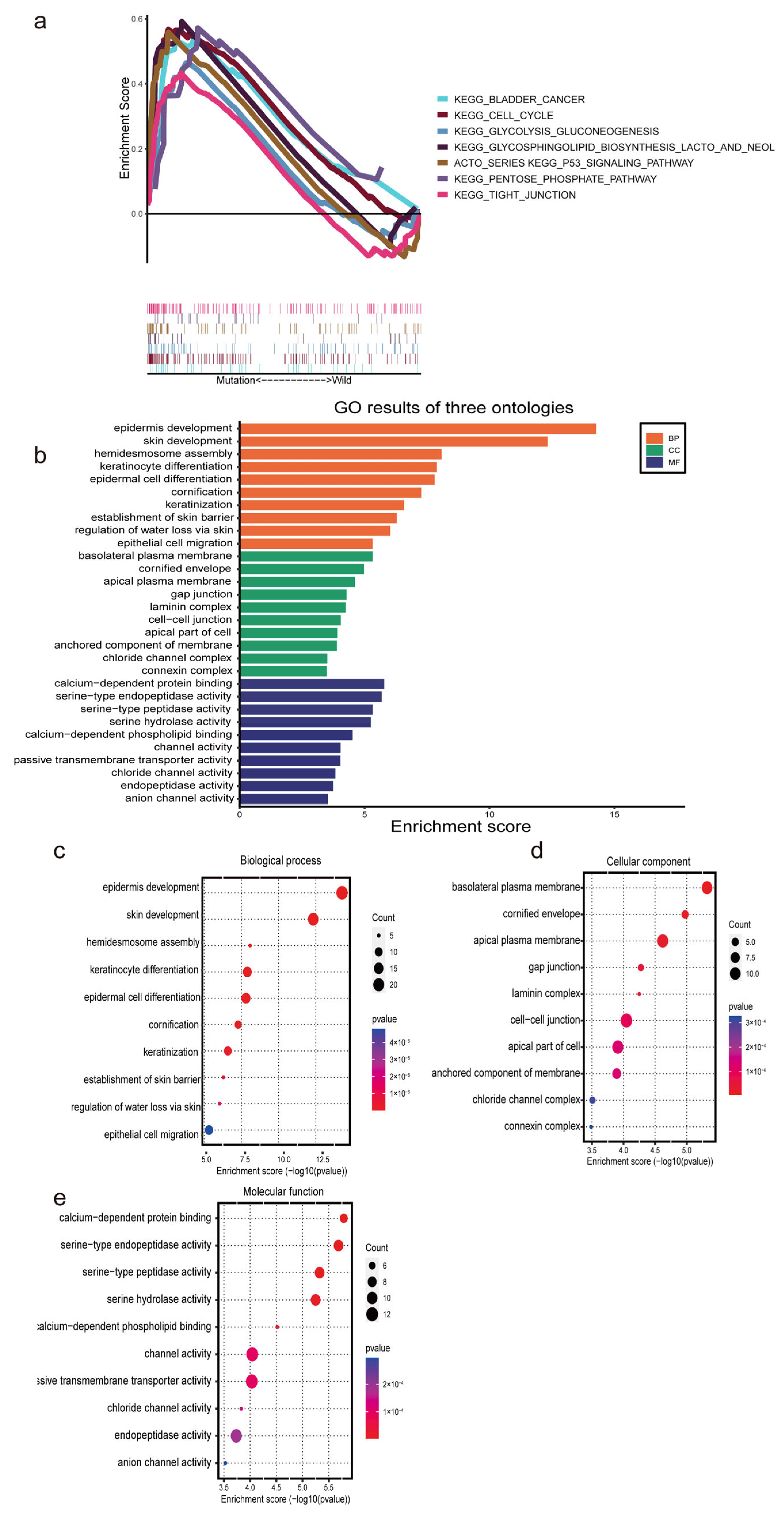Diagnostics 13 01697 g006
