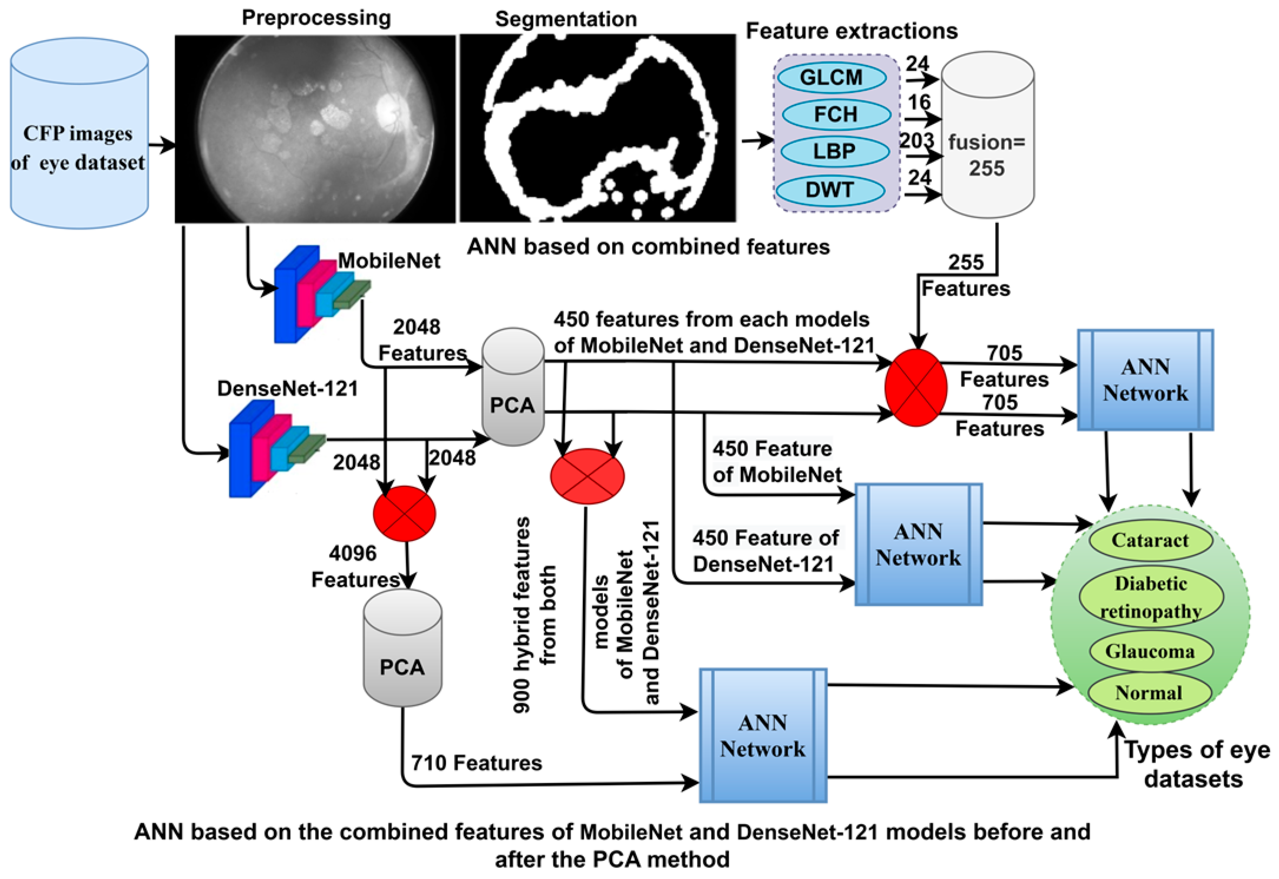 Diagnostics 13 01706 g001