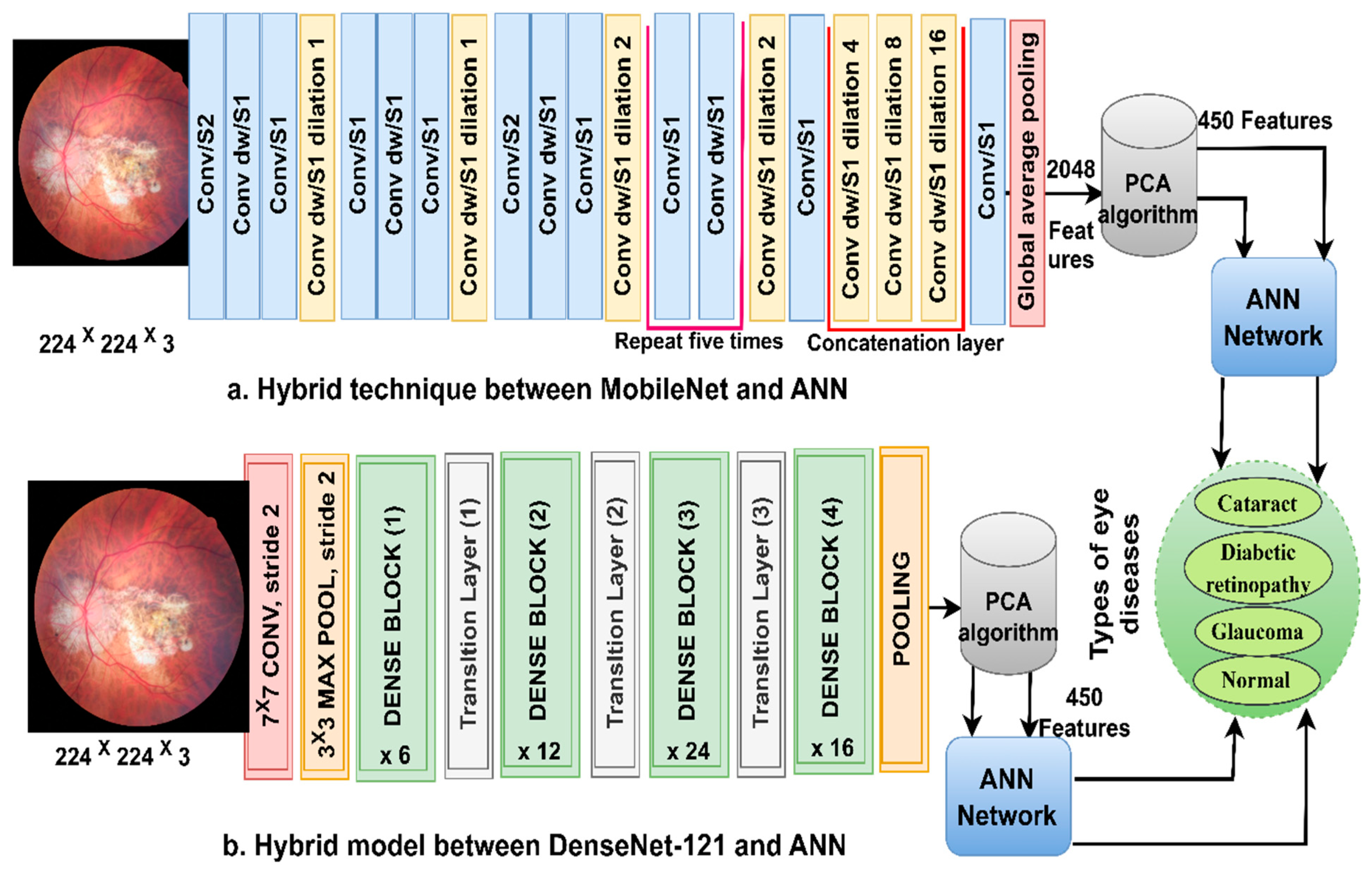 Diagnostics 13 01706 g003