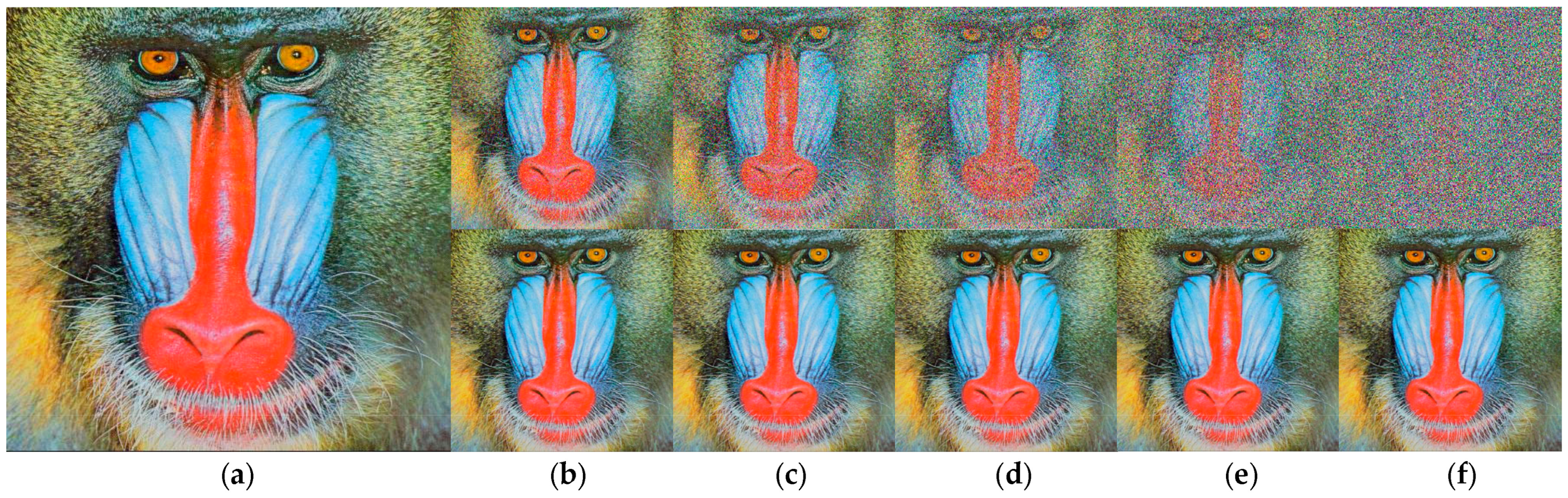 Diagnostics 13 01709 g010