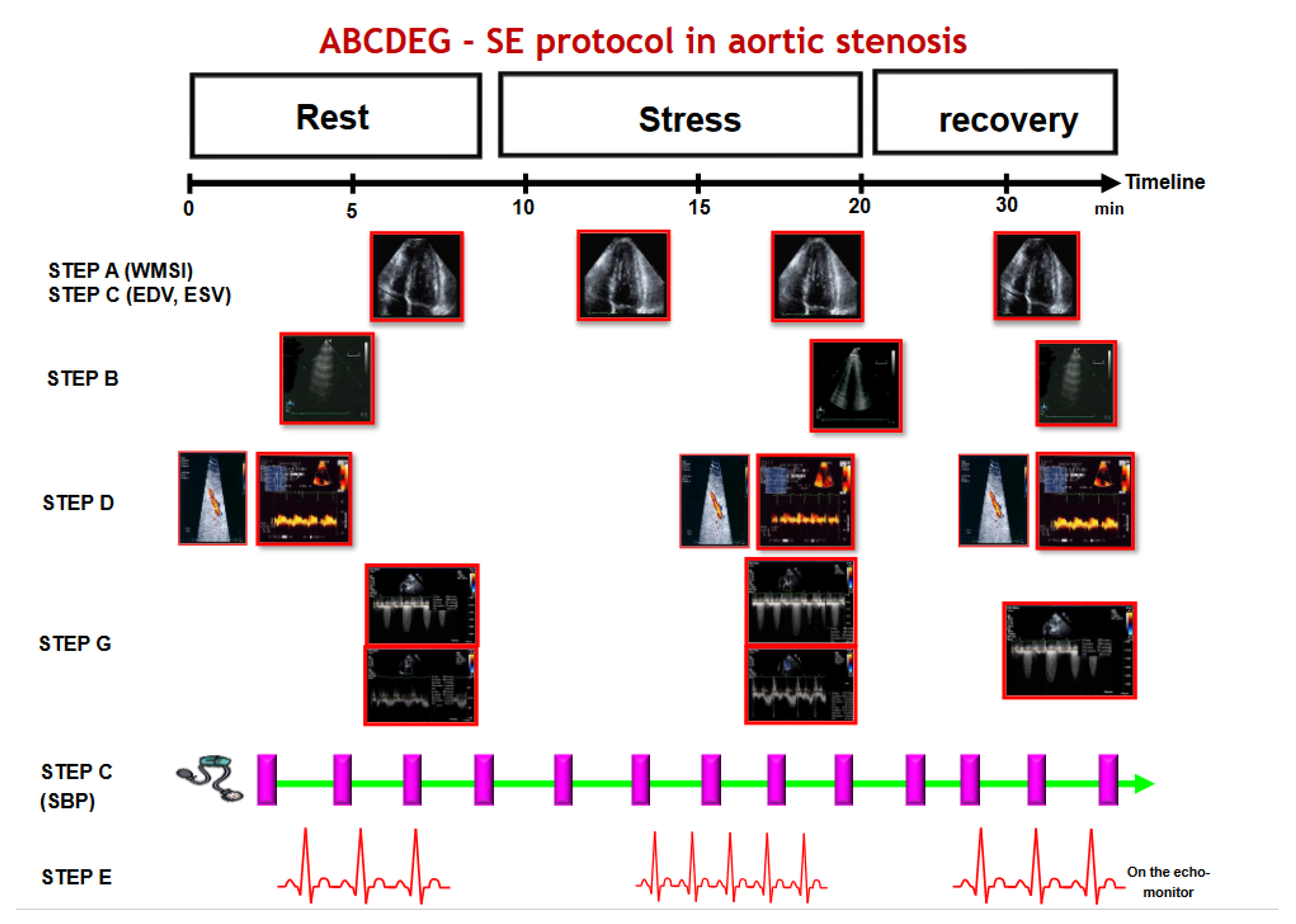 Diagnostics 13 01727 g001