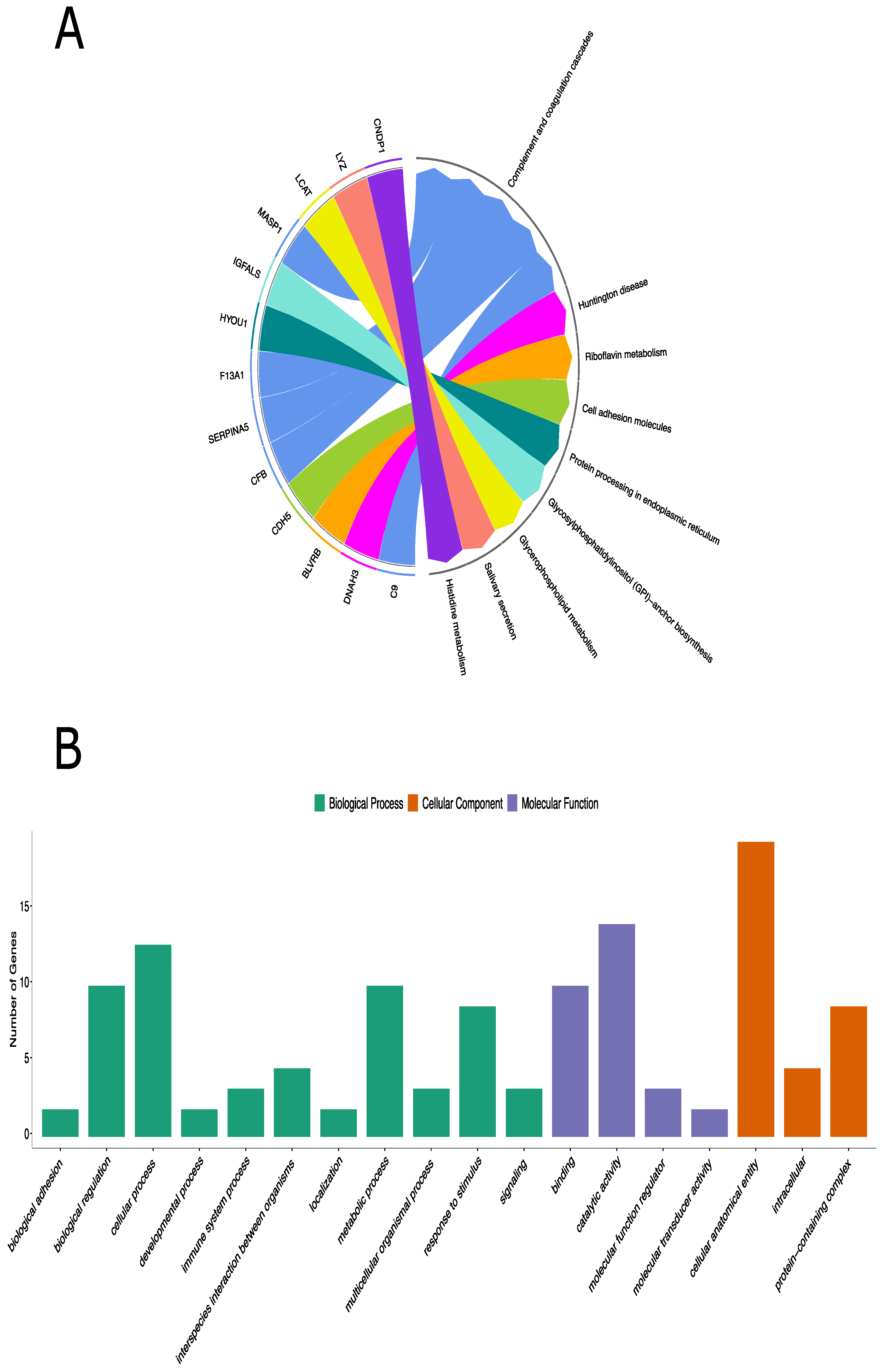Diagnostics 13 01729 g002