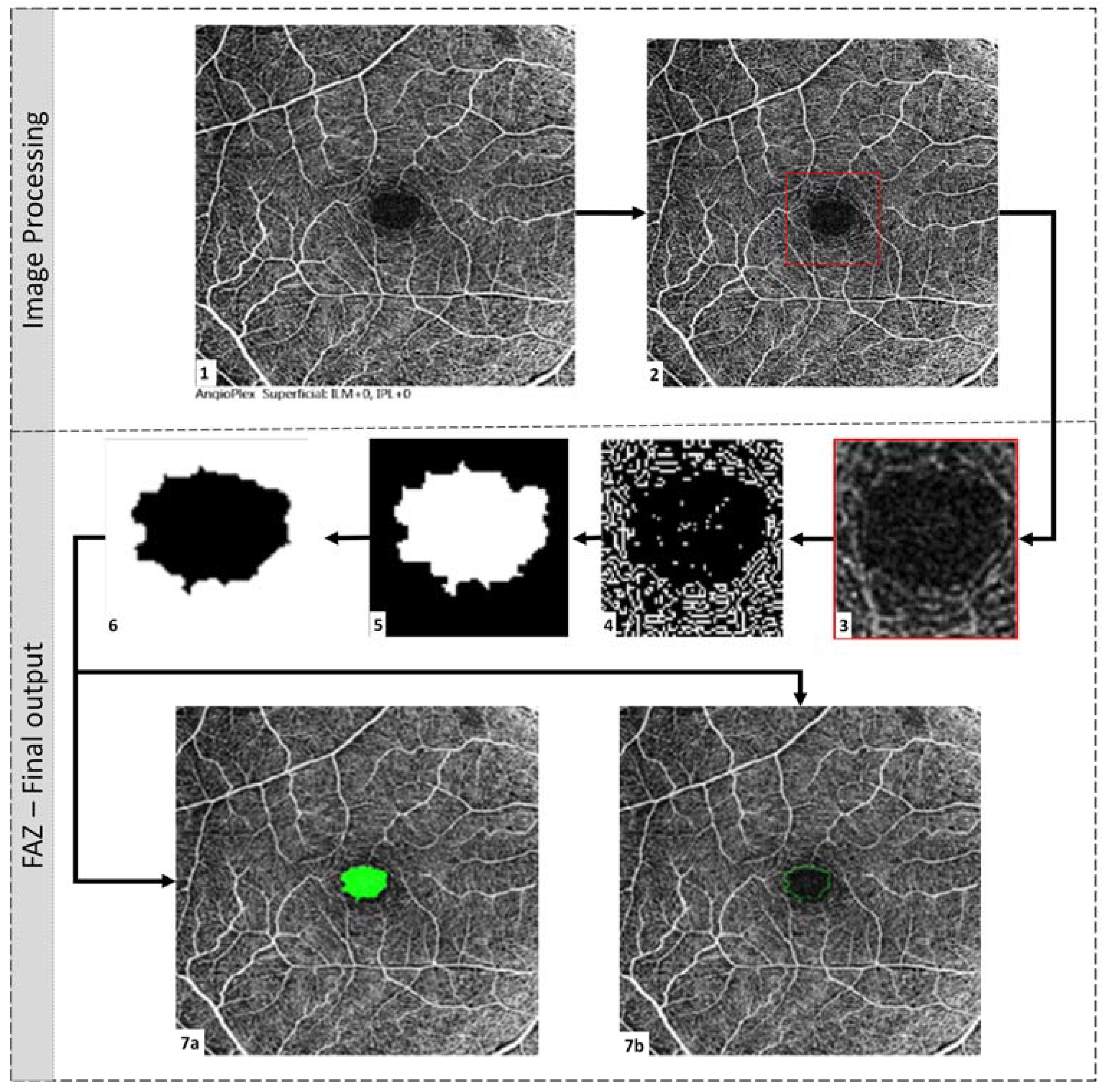 Diagnostics 13 01735 g003