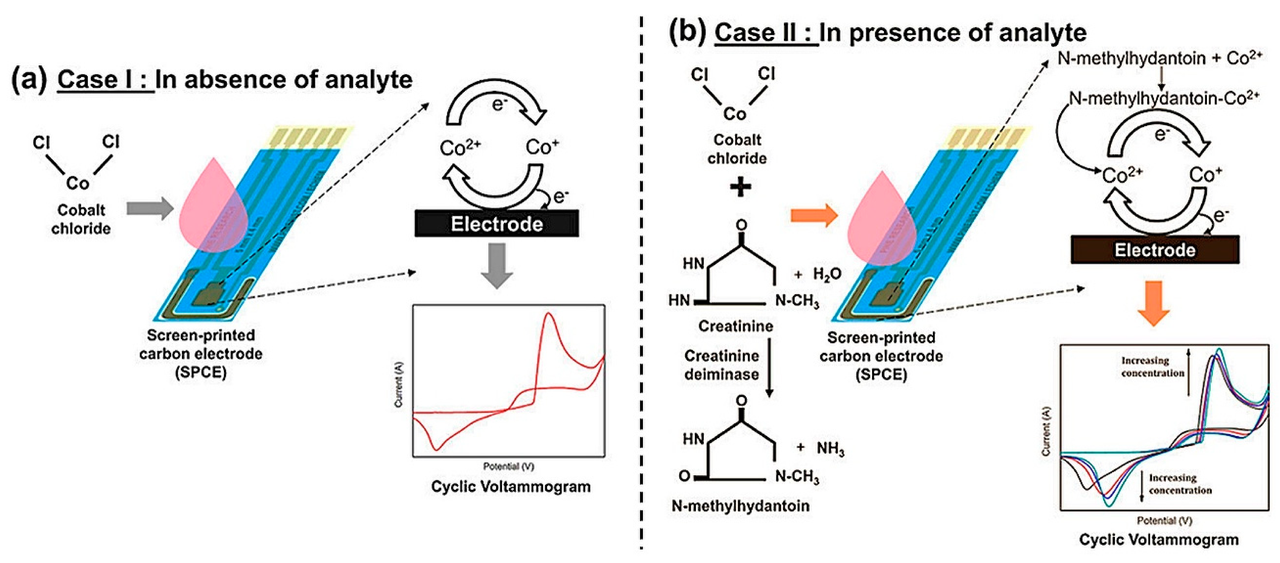 Diagnostics 13 01737 g002
