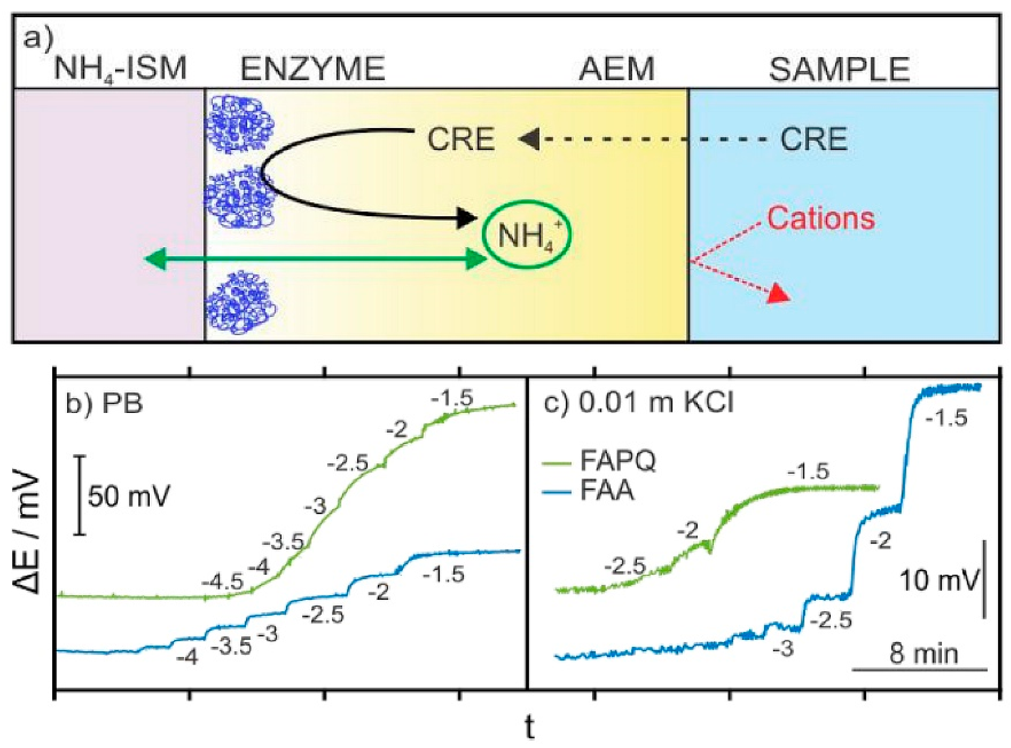 Diagnostics 13 01737 g006