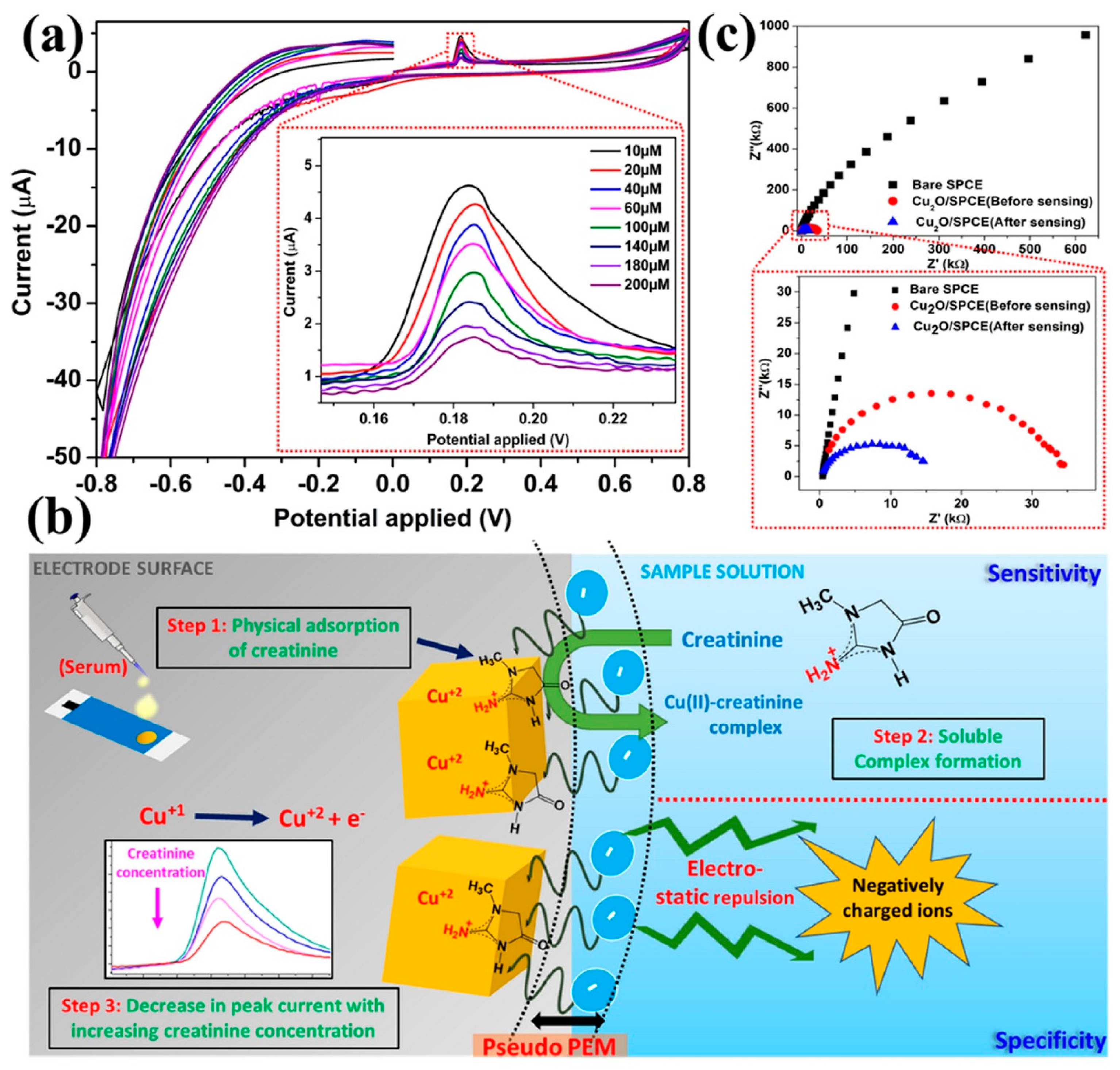 Diagnostics 13 01737 g007