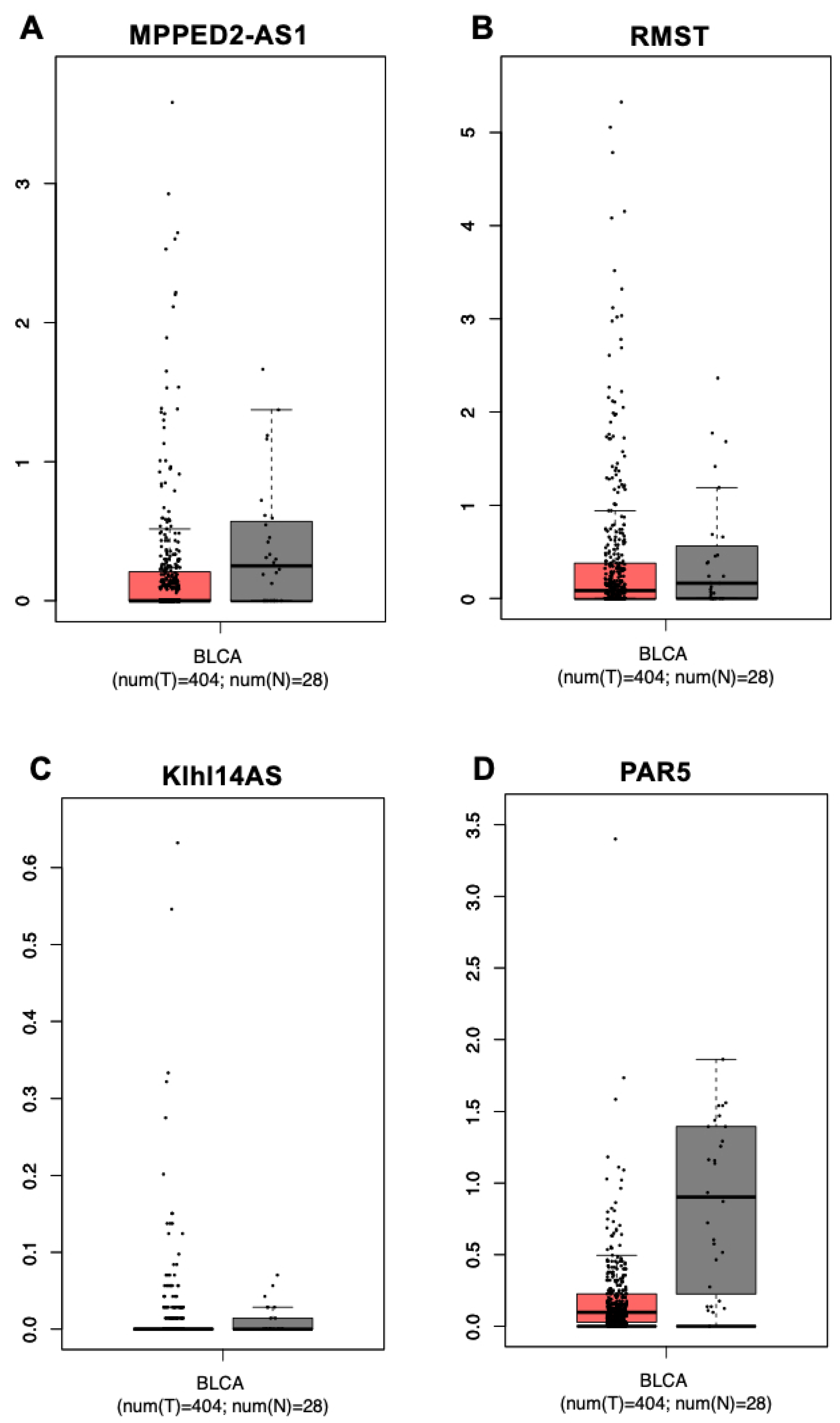 Diagnostics 13 01745 g001