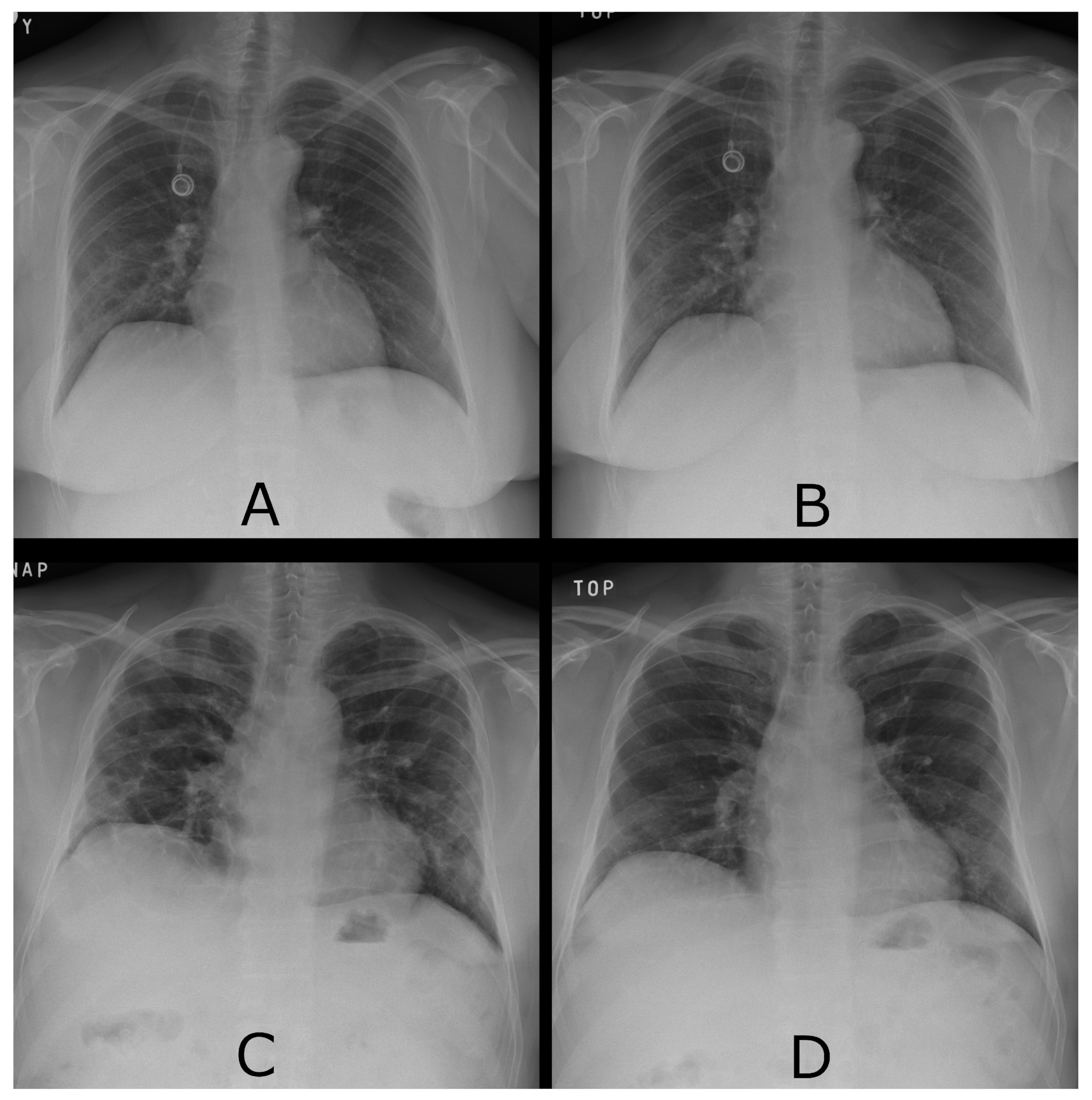 Diagnostics 13 01755 g003