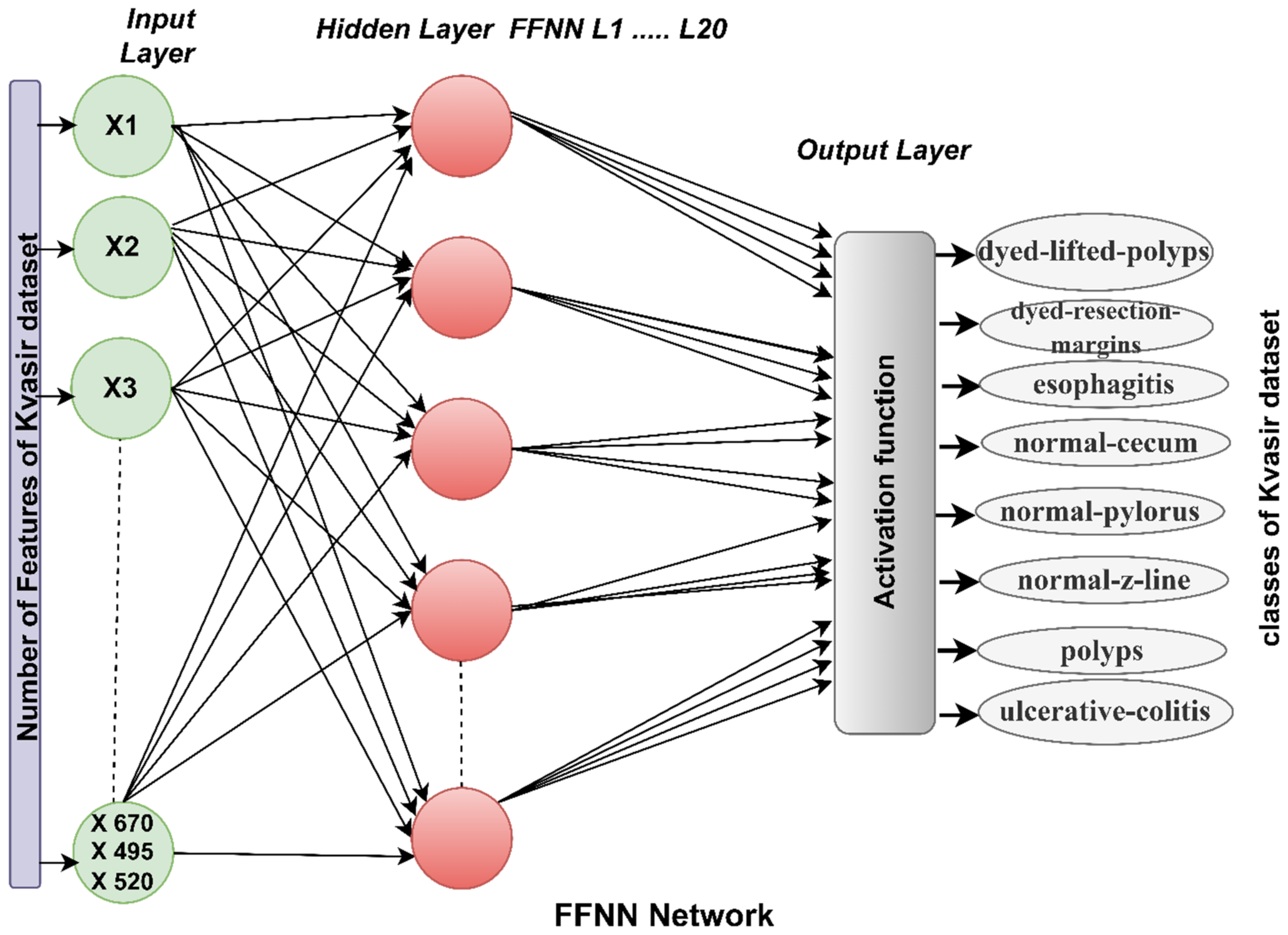 Diagnostics 13 01758 g003