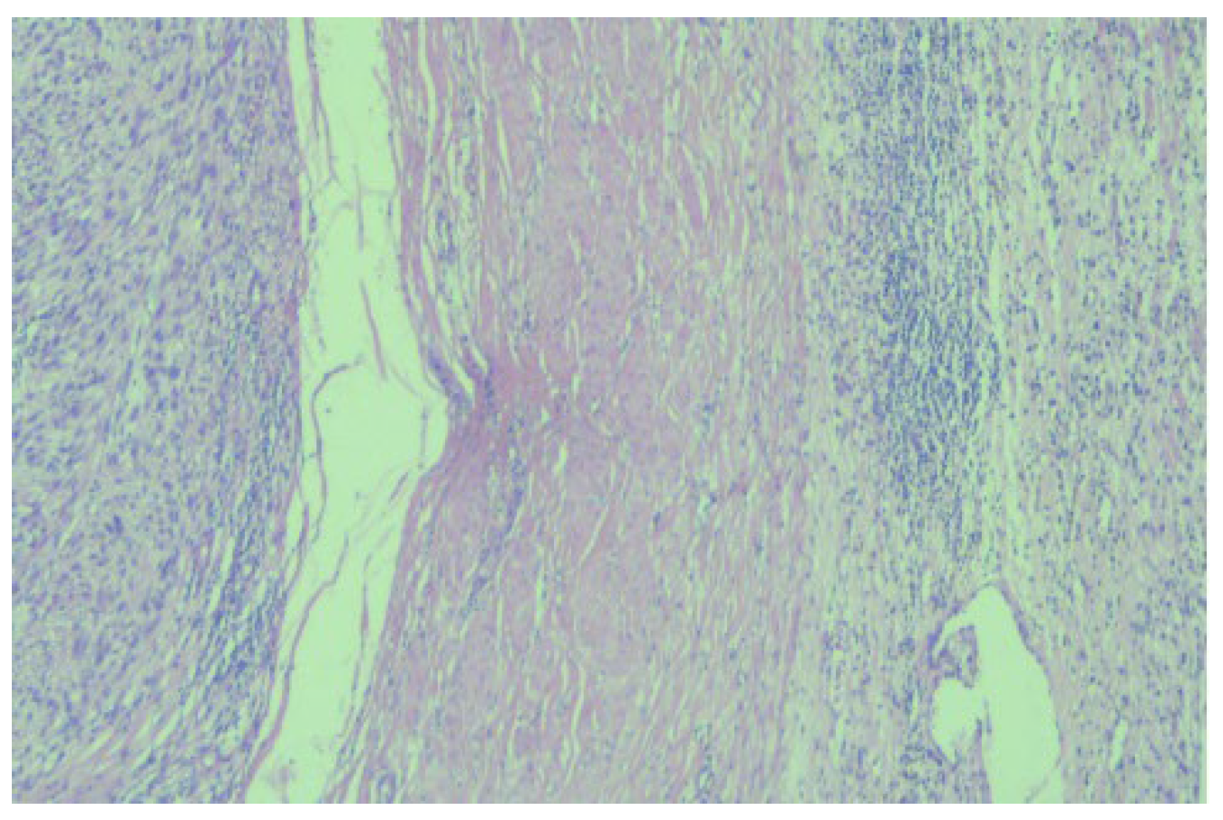 Diagnostics 13 01759 g003