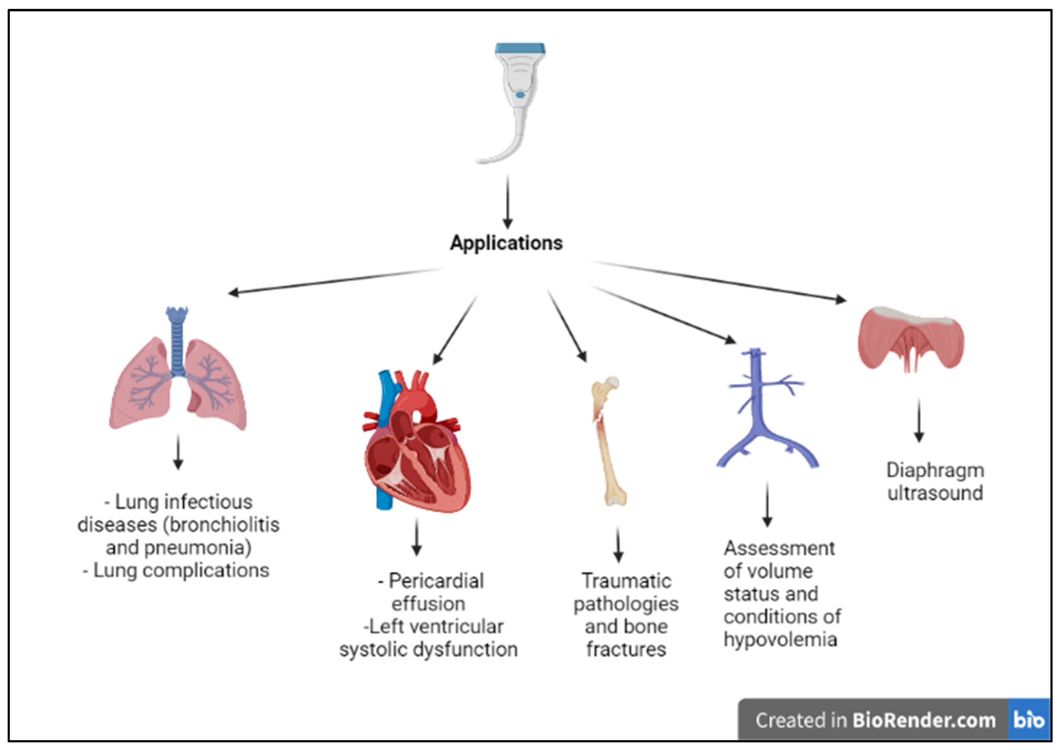 Diagnostics 13 01765 g001