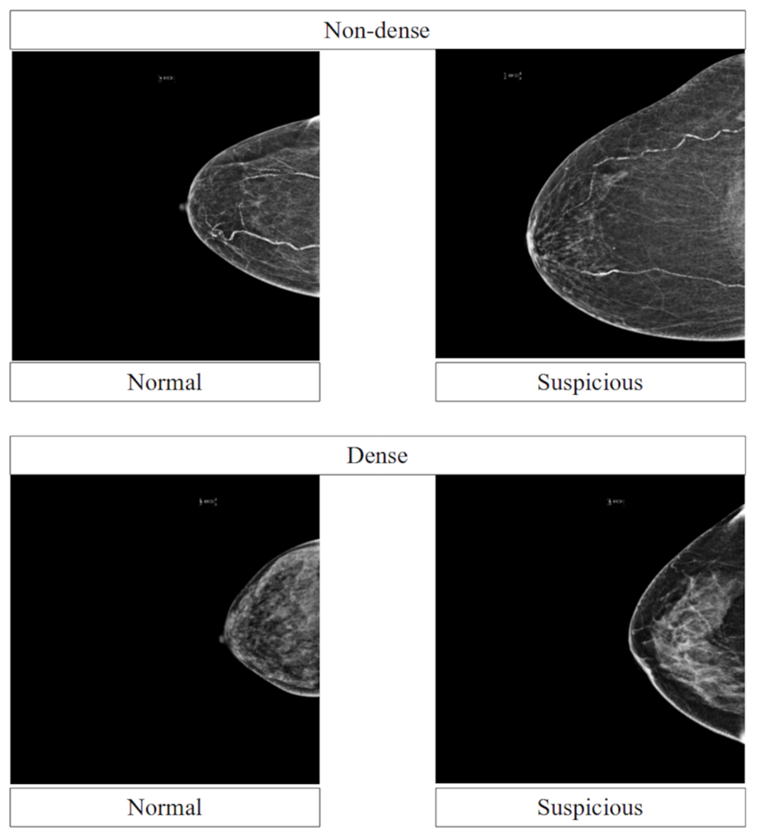Diagnostics 13 01780 g001