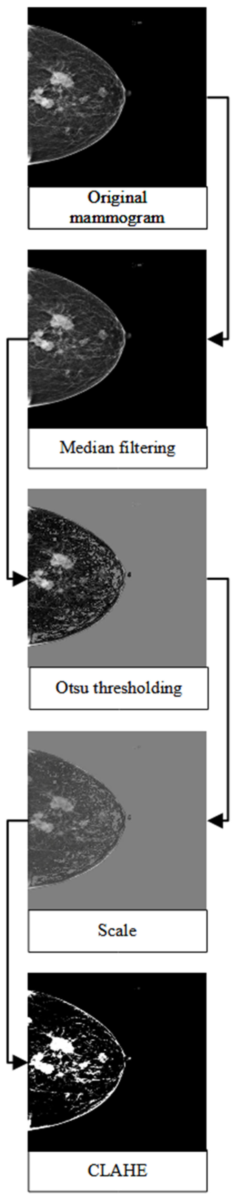 Diagnostics 13 01780 g002
