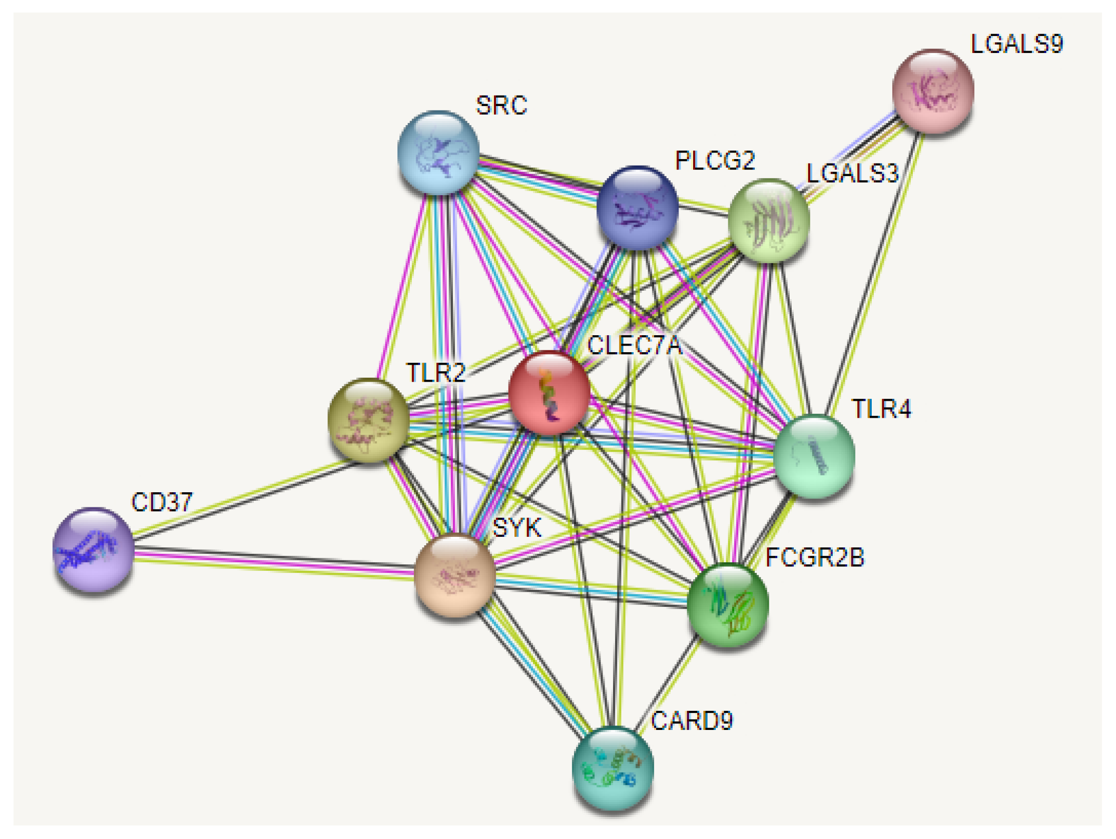 Diagnostics 13 01785 g004