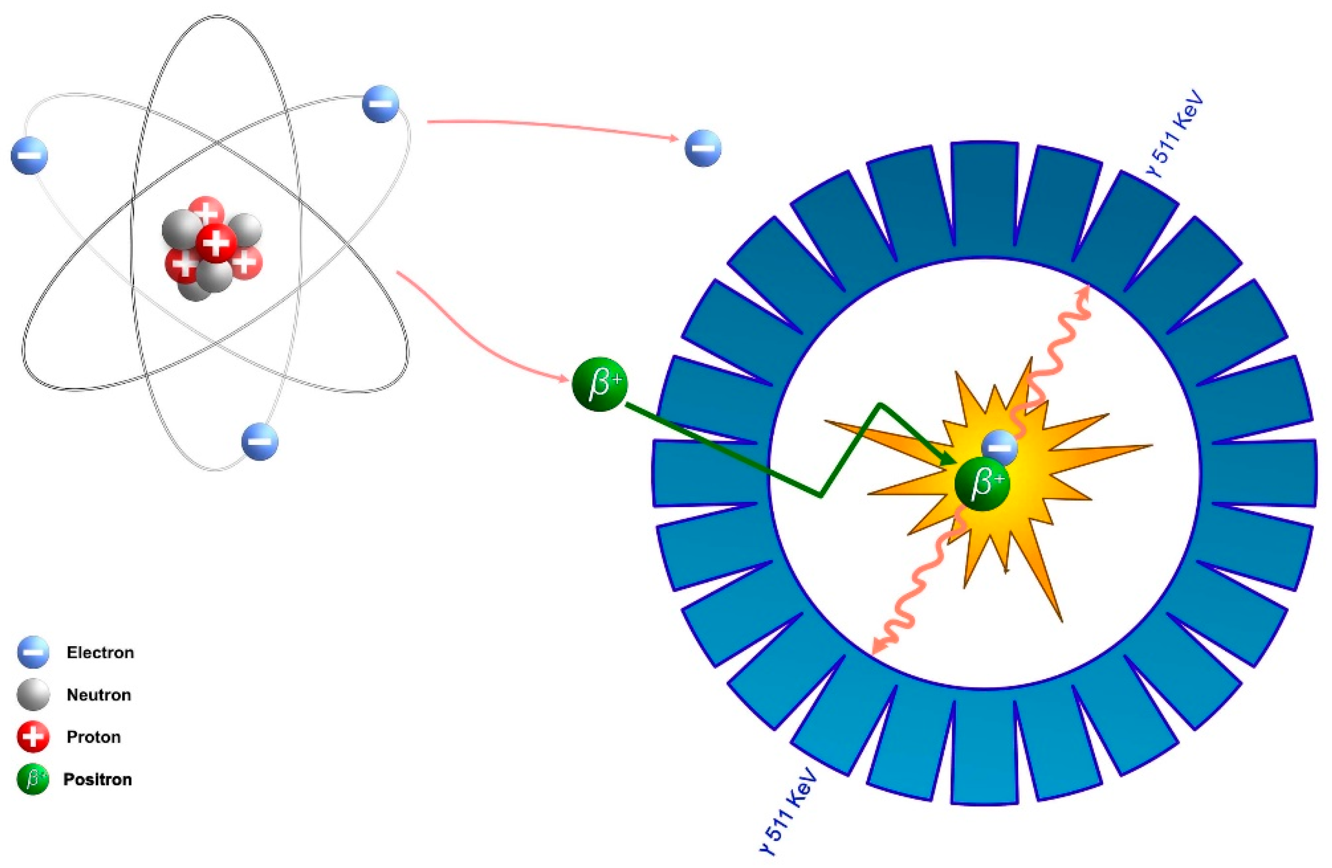 Diagnostics 13 01791 g001