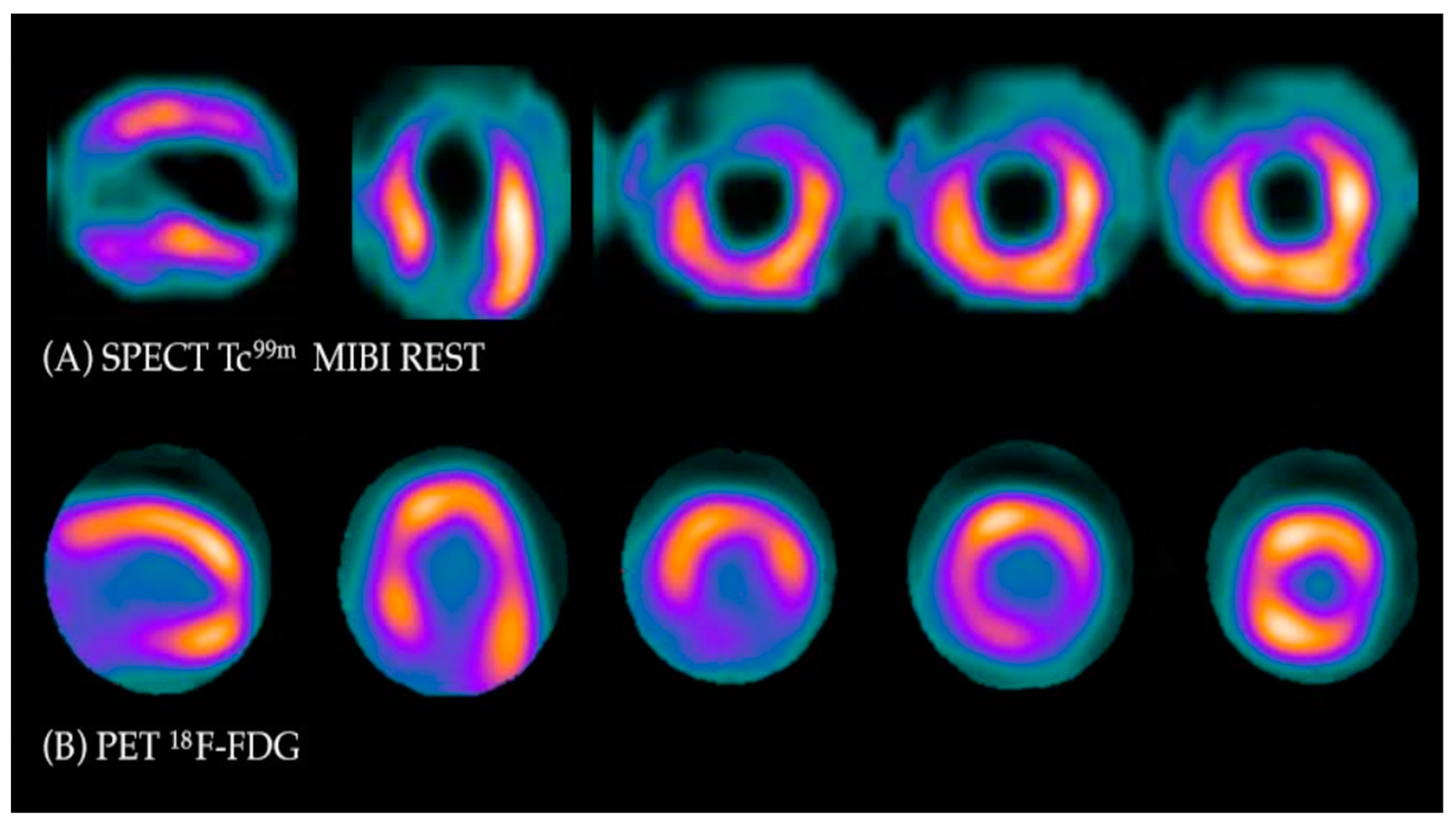 Diagnostics 13 01791 g002