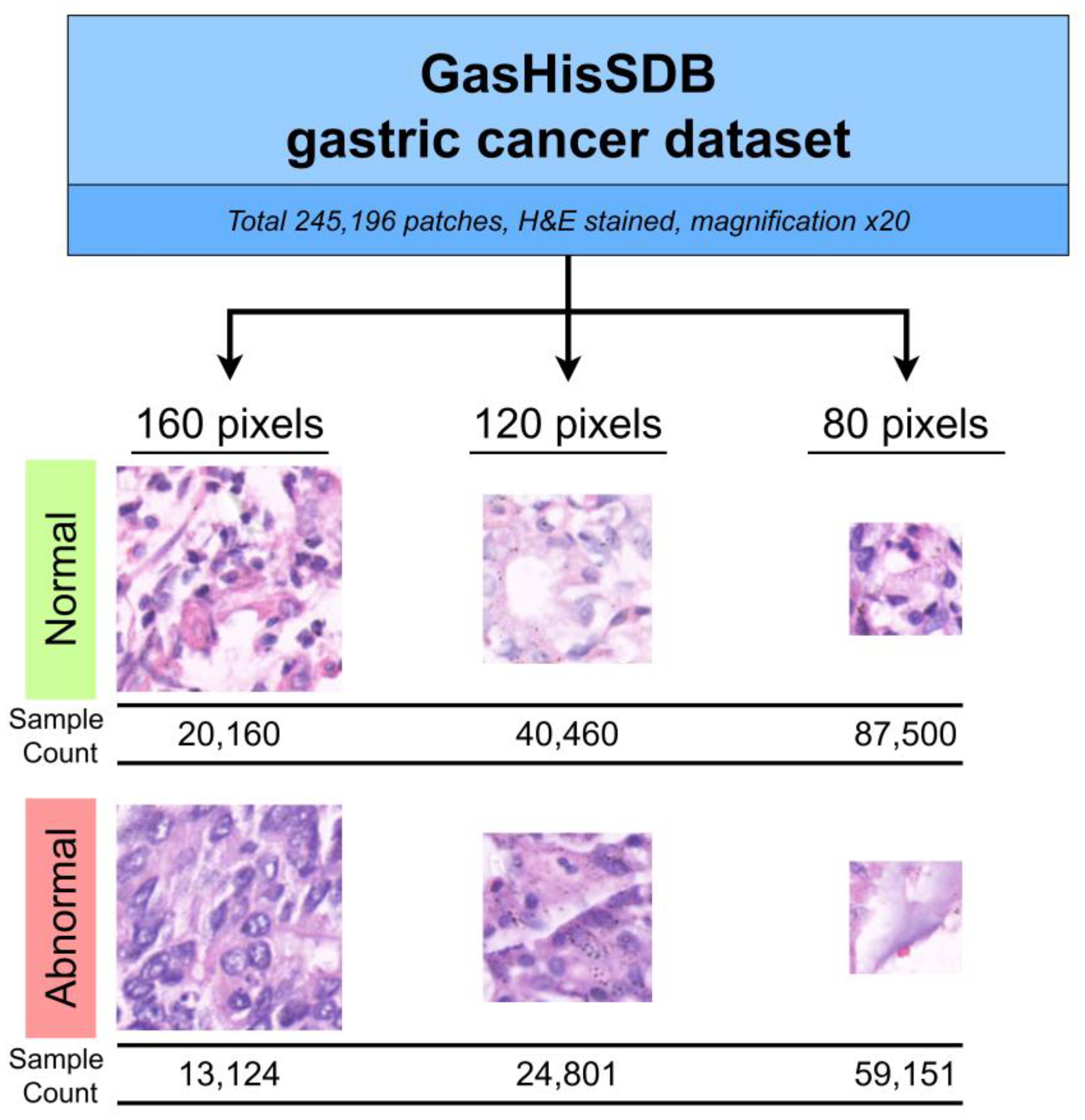 Diagnostics 13 01793 g001 Diagnostics 13 01793 g001