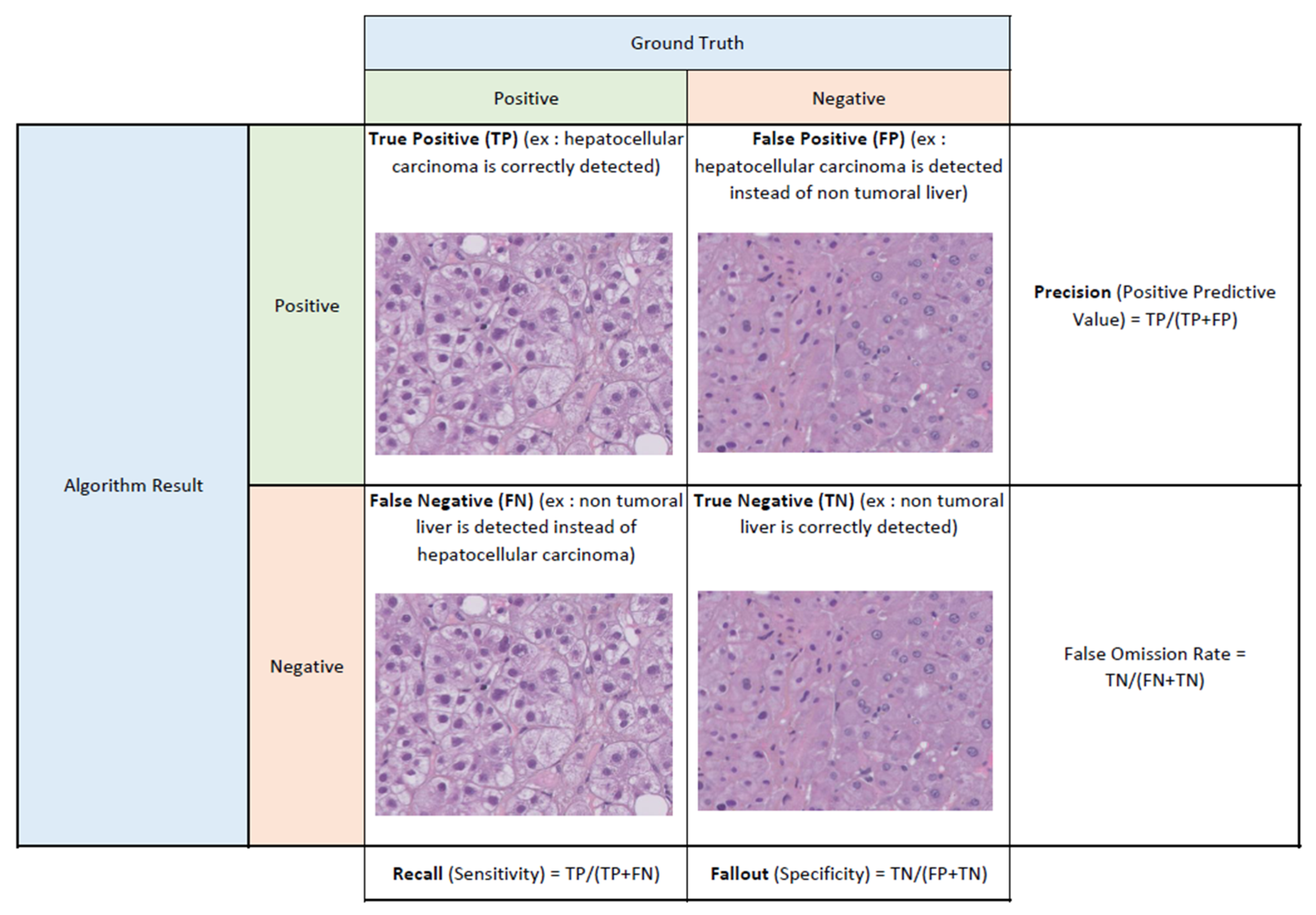 Diagnostics 13 01799 g001
