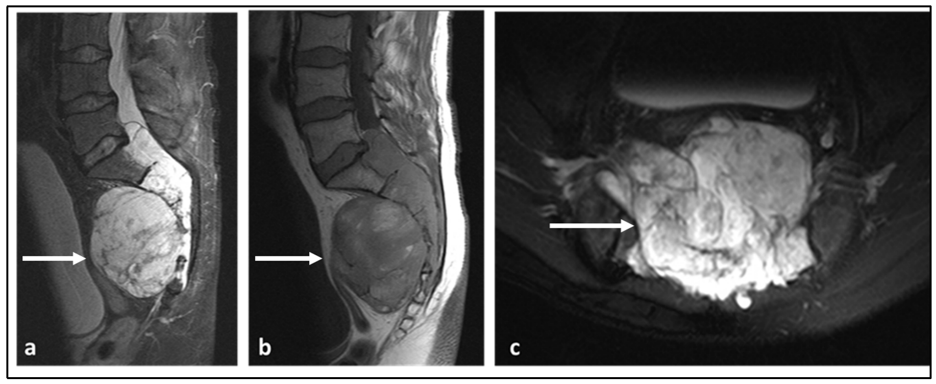 Diagnostics 13 01801 g007