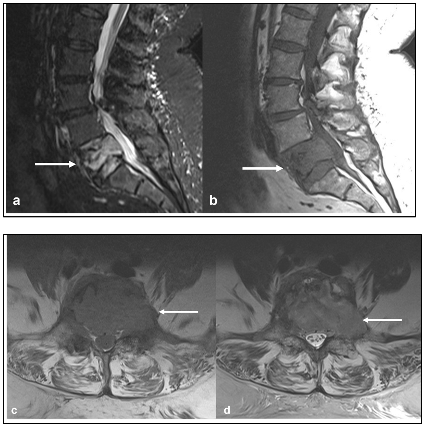 Diagnostics 13 01801 g009