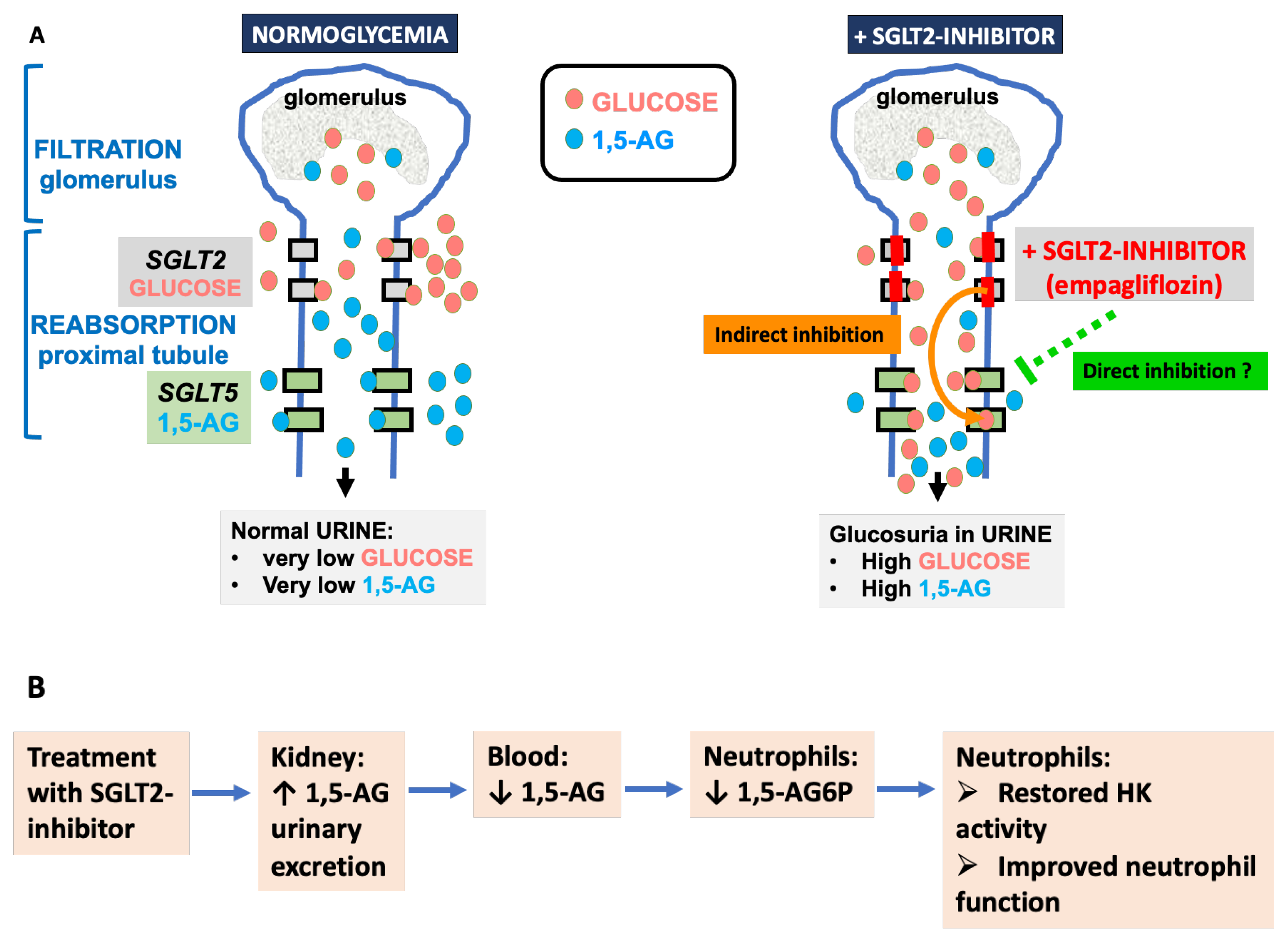 Diagnostics 13 01803 g003