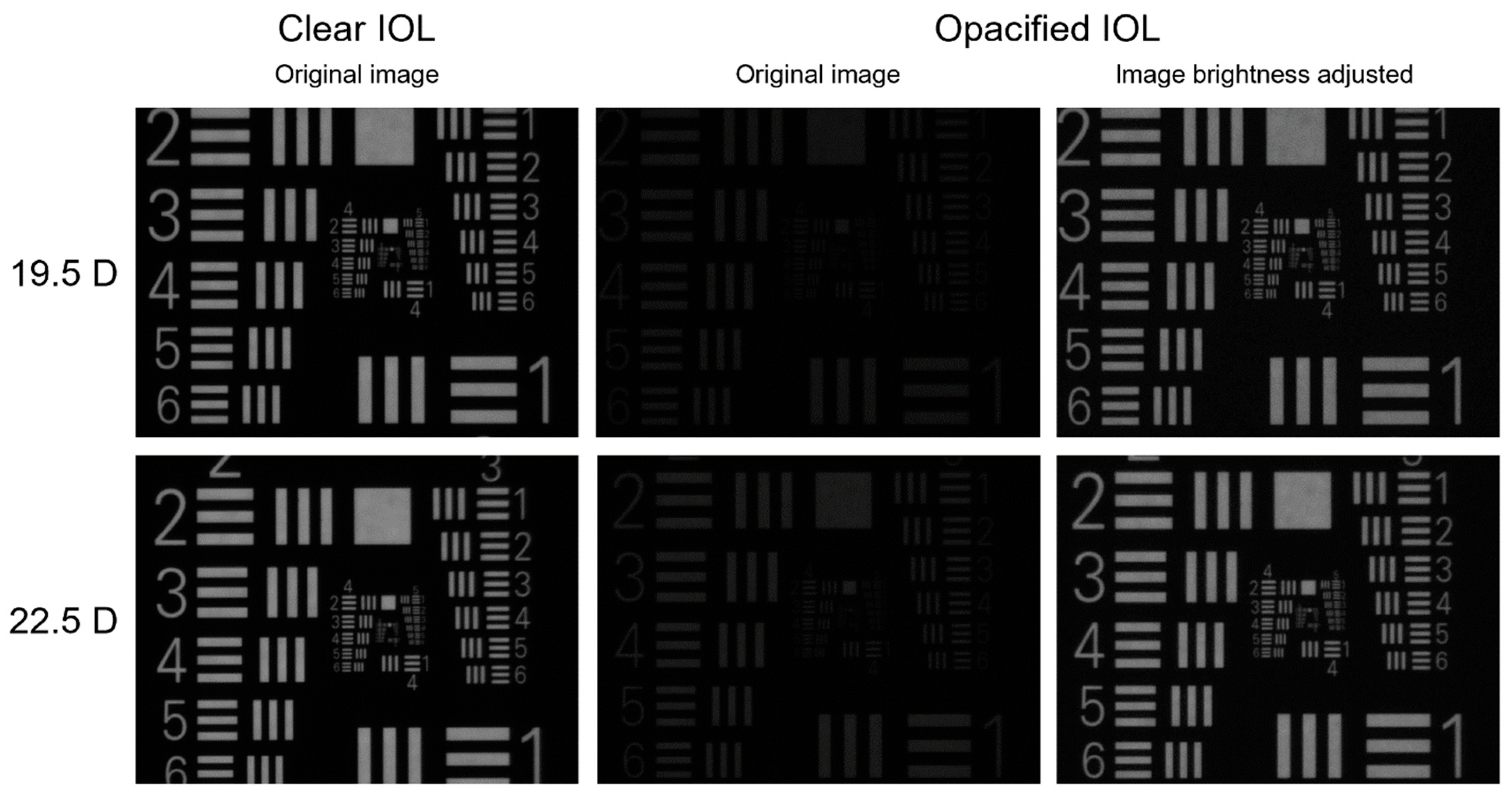 Diagnostics 13 01804 g005