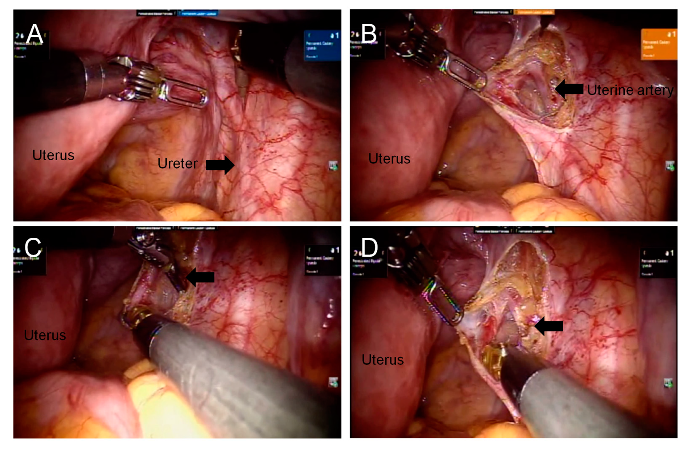 Diagnostics 13 01809 g001