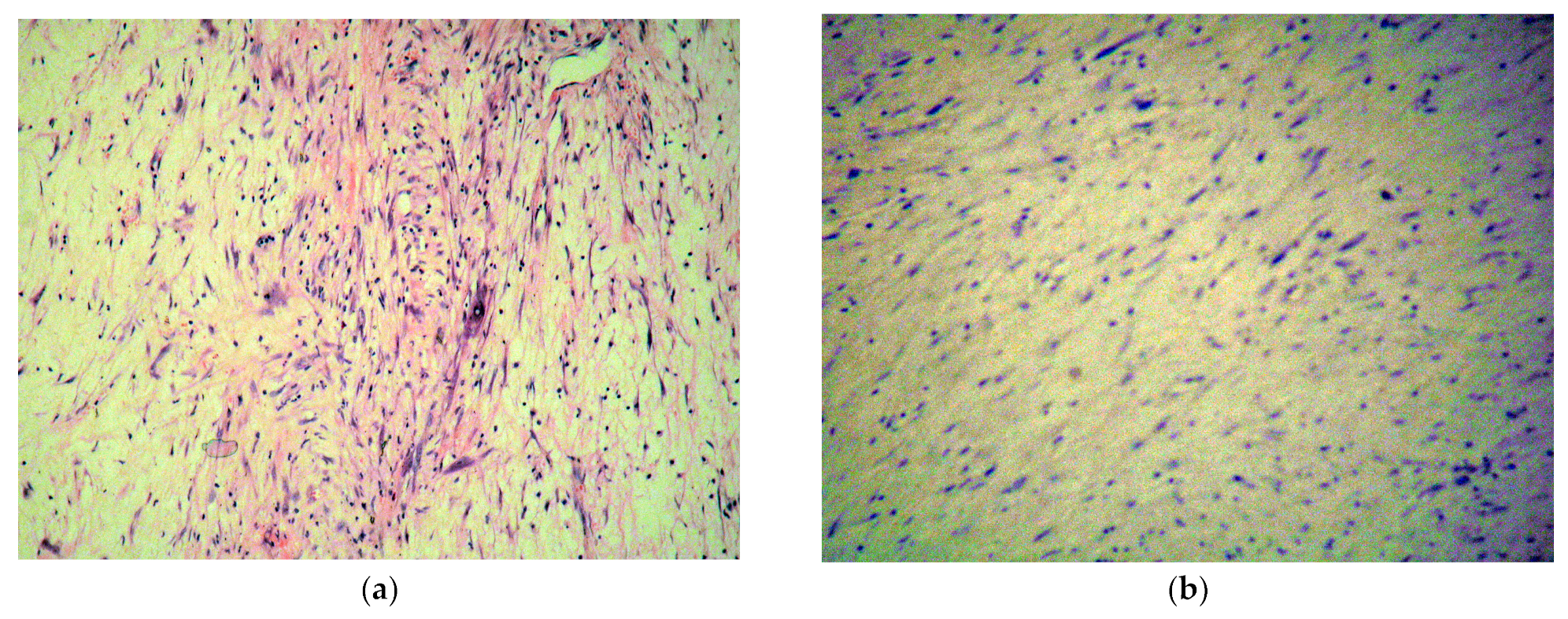 Diagnostics 13 01811 g007