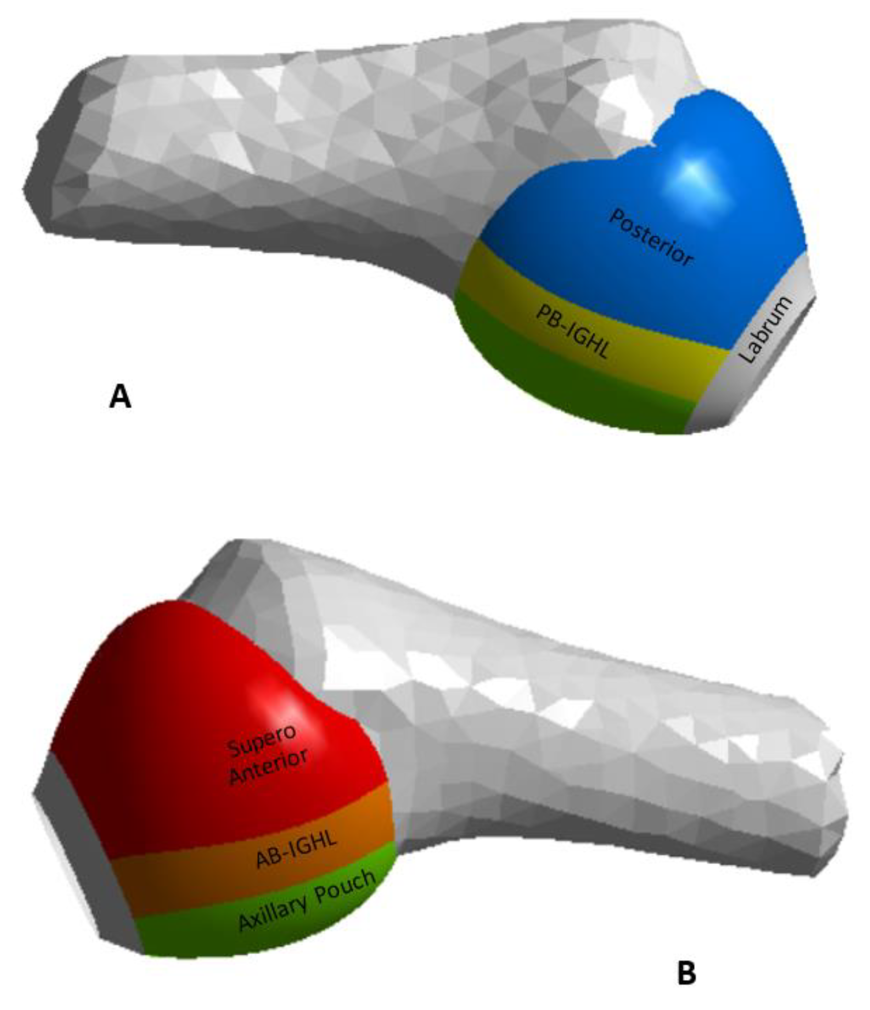 Diagnostics 13 01819 g004