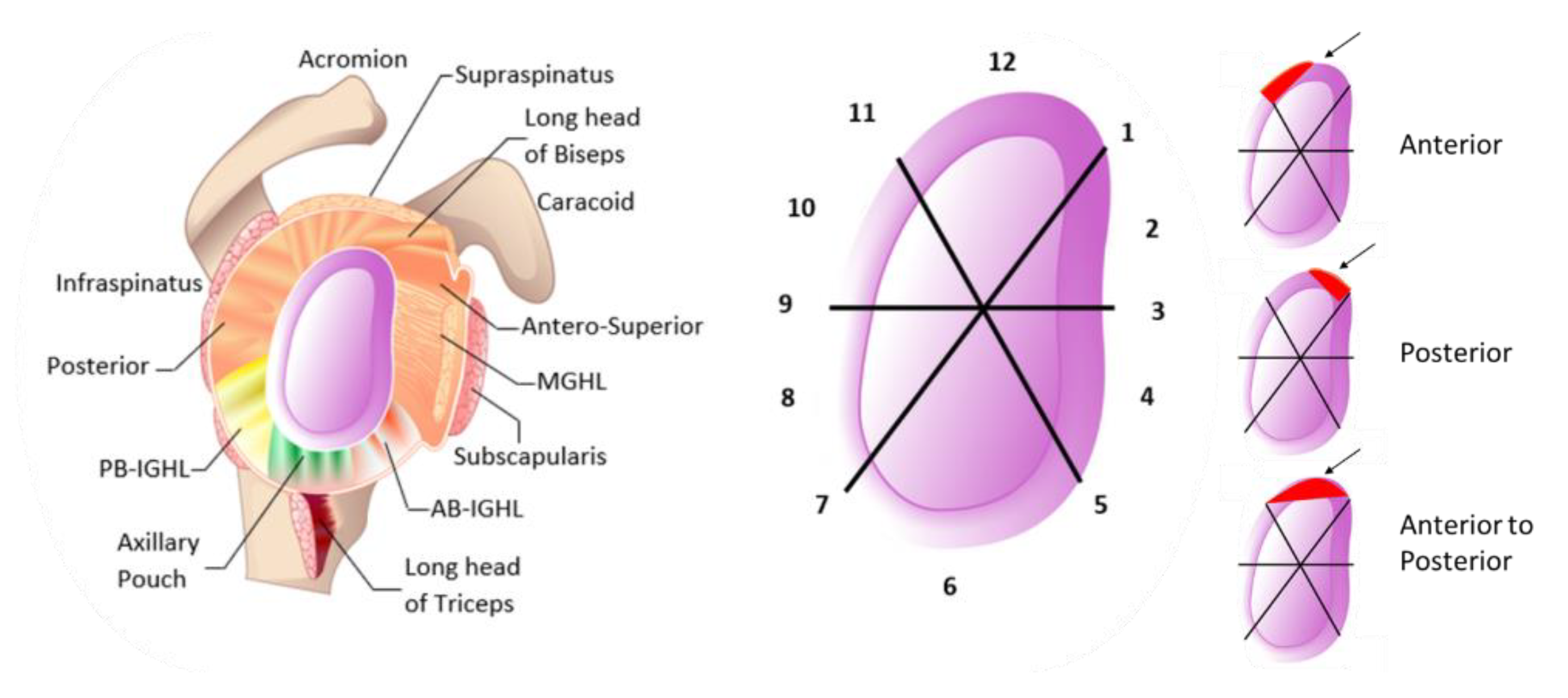 Diagnostics 13 01819 g006