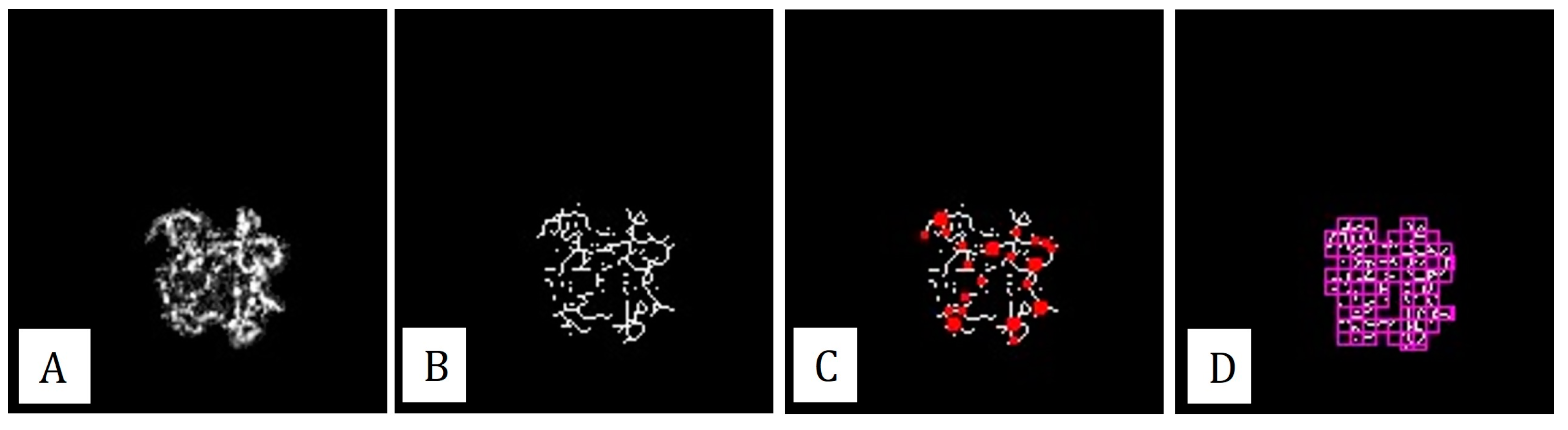Diagnostics 13 01820 g004