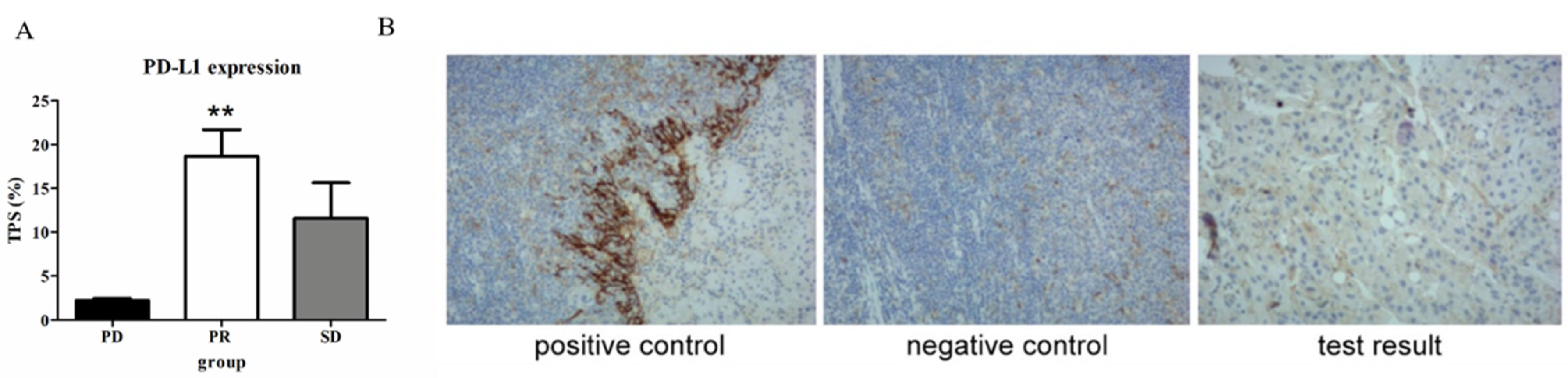 Diagnostics 13 01833 g005