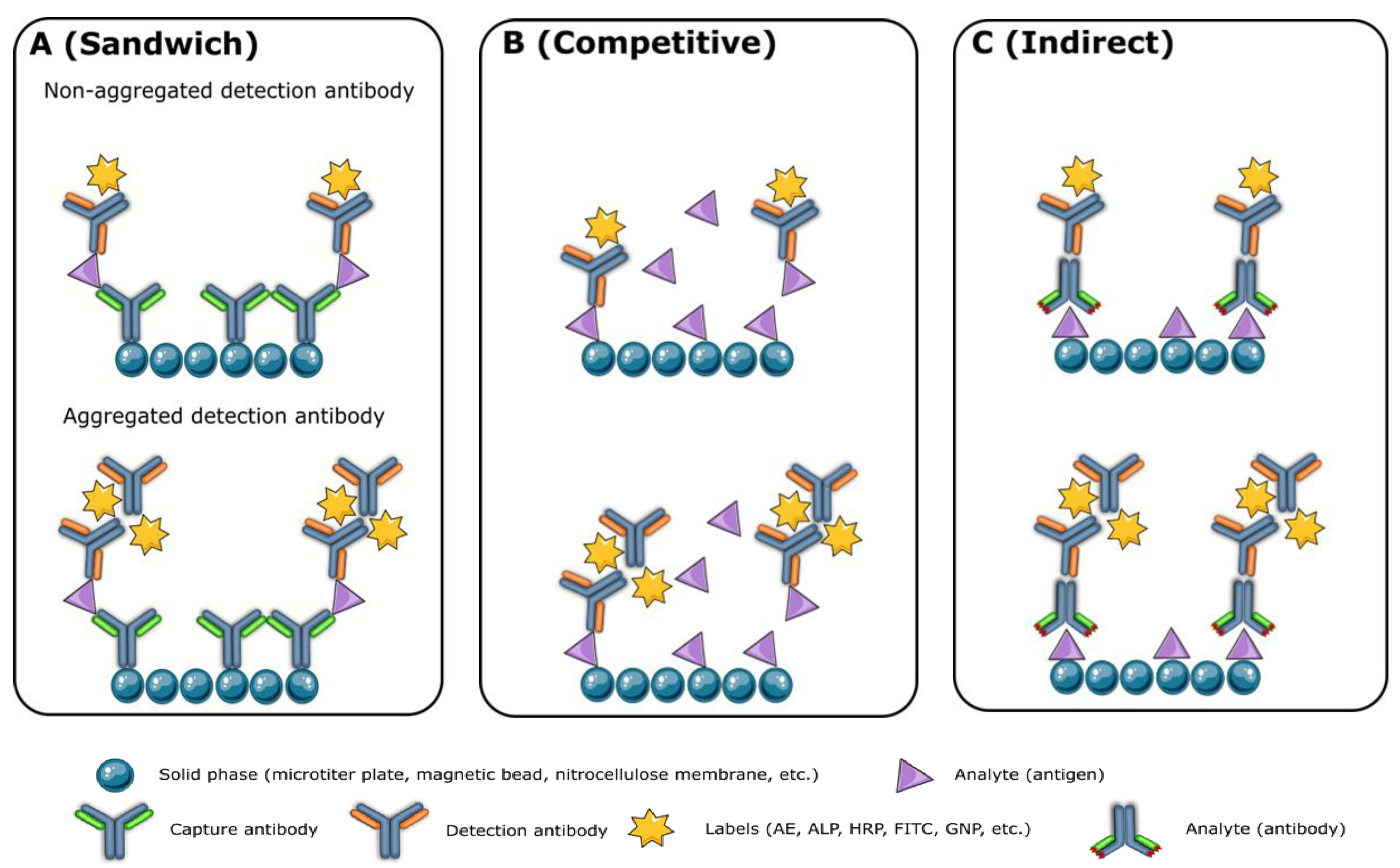 Diagnostics 13 01835 g001