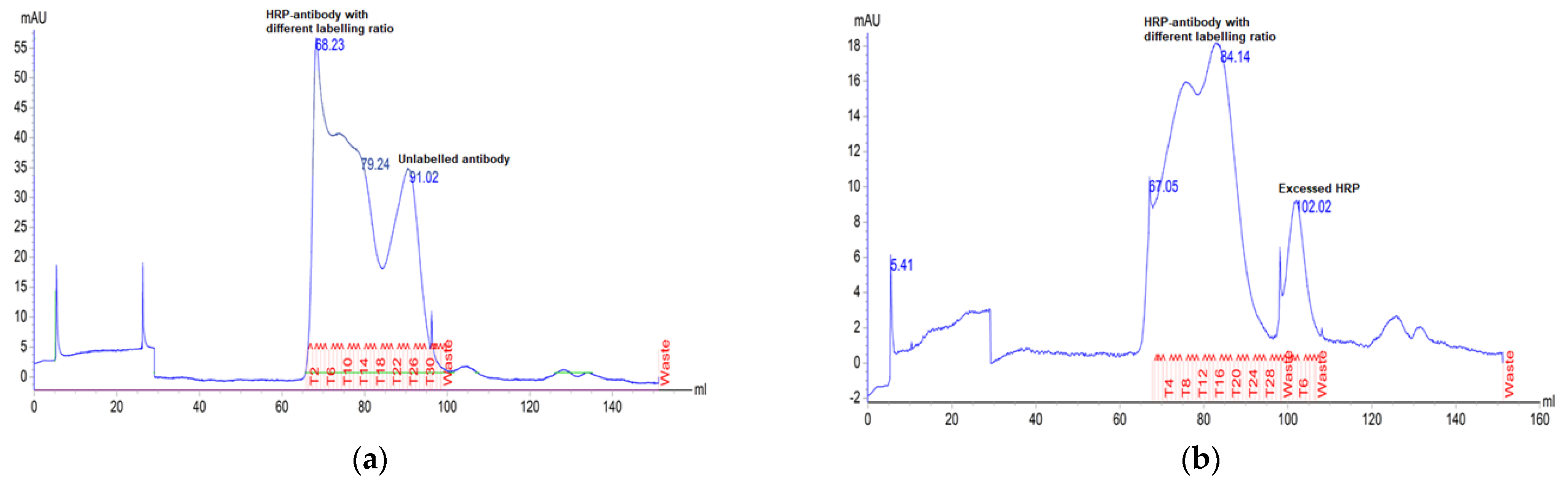 Diagnostics 13 01835 g003a