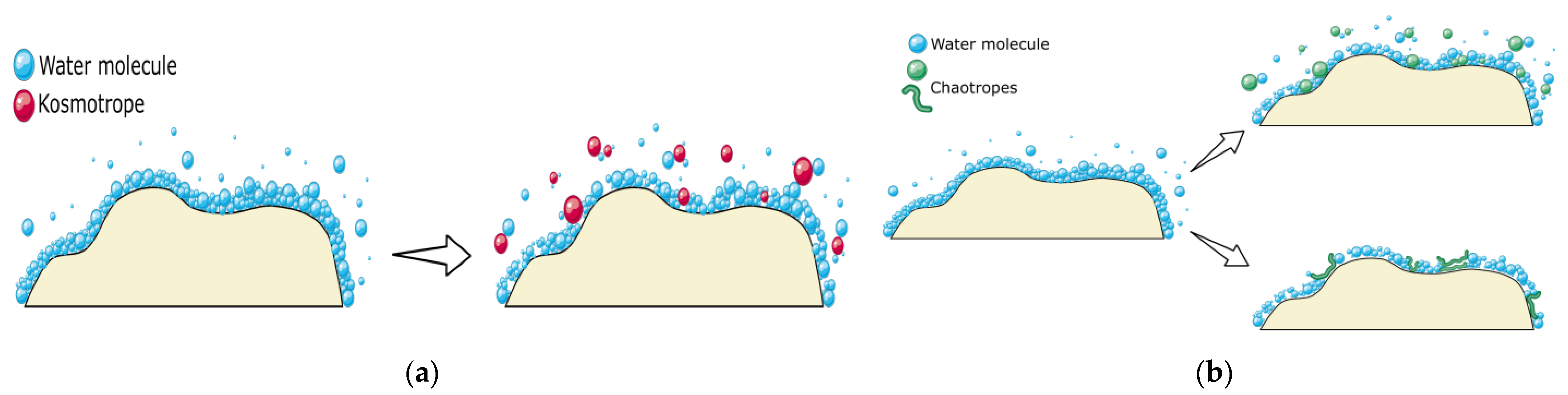 Diagnostics 13 01835 g004