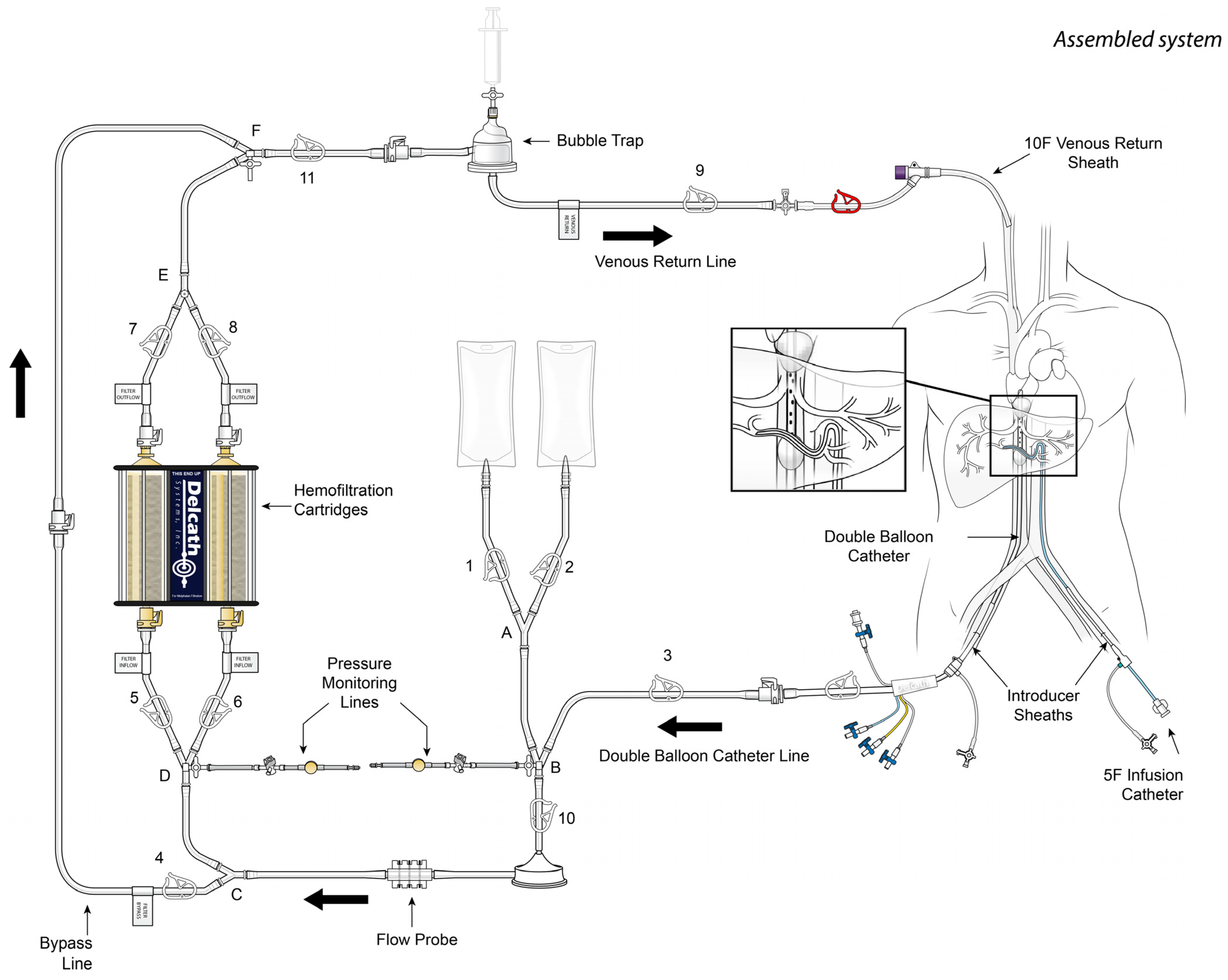 Diagnostics 13 01836 g001