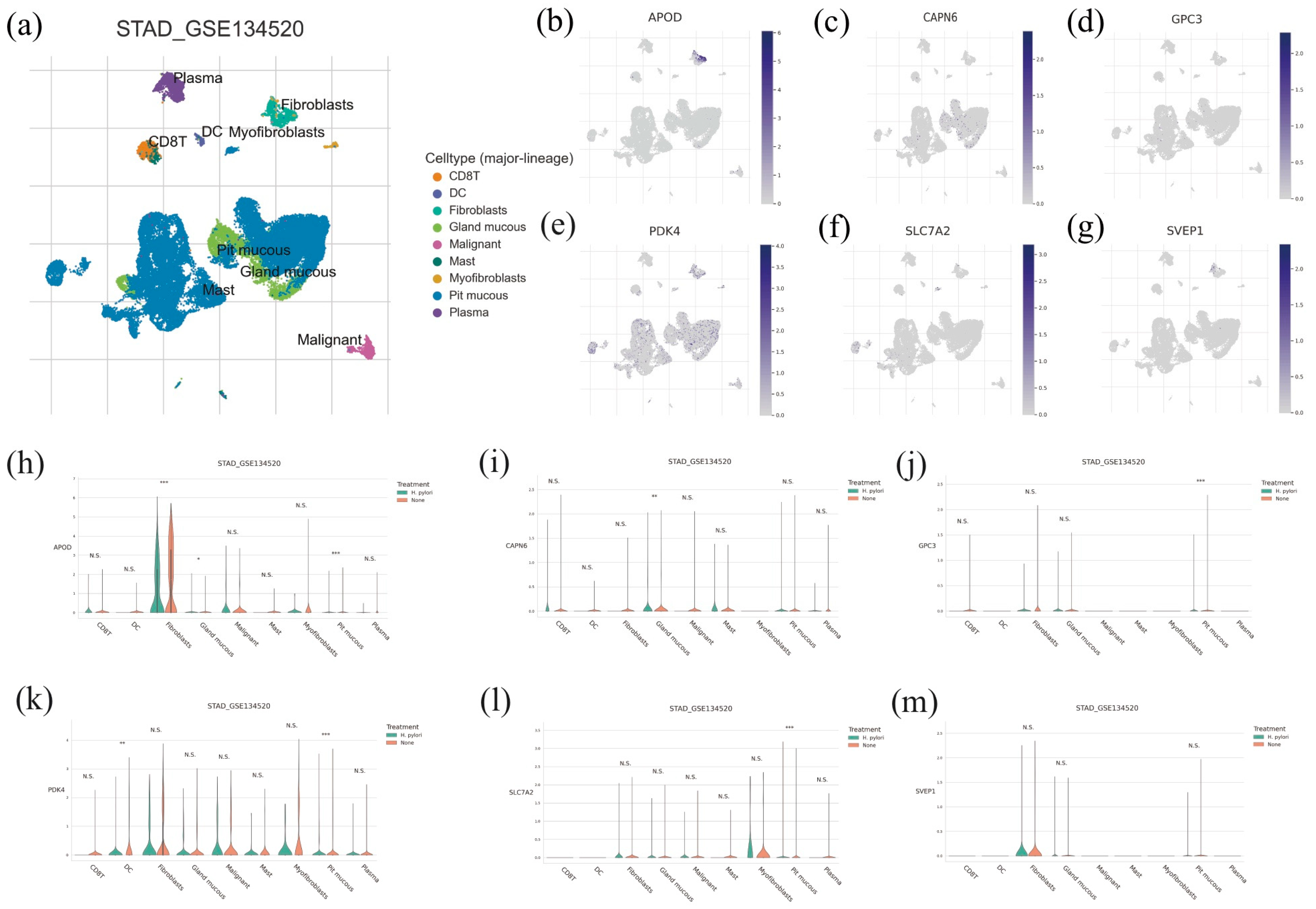 Diagnostics 13 01844 g006