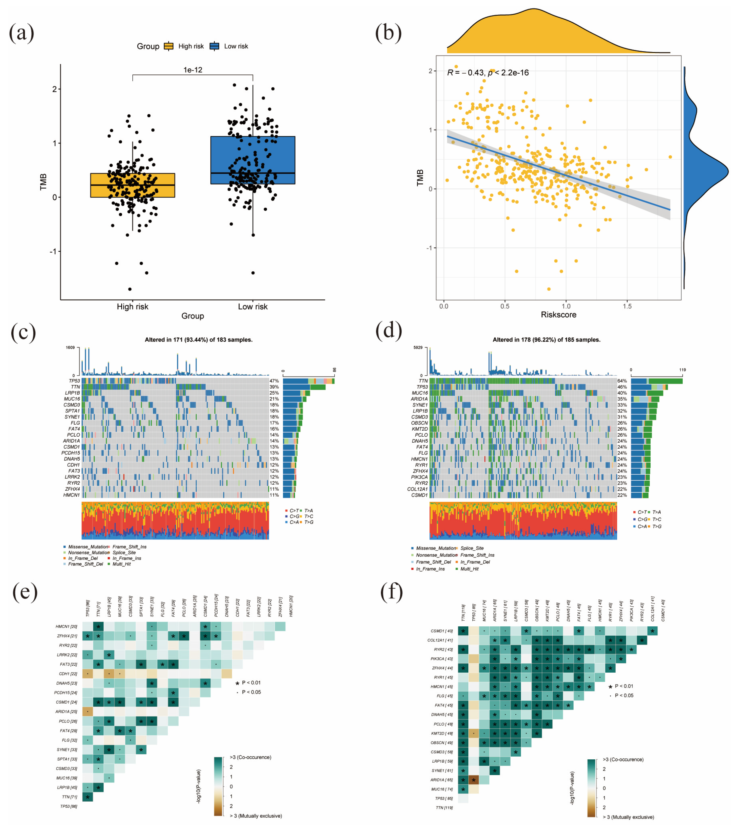 Diagnostics 13 01844 g008