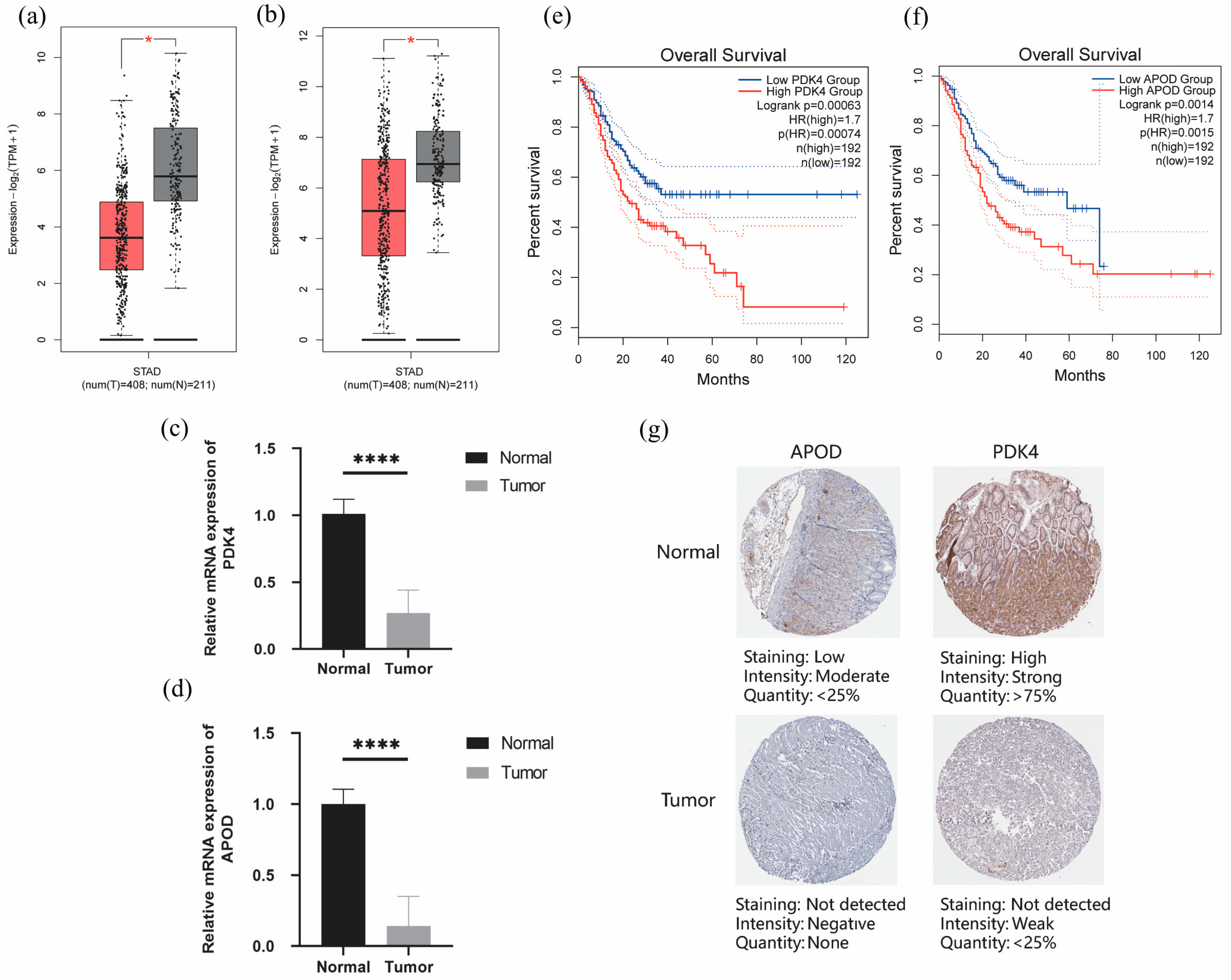 Diagnostics 13 01844 g010