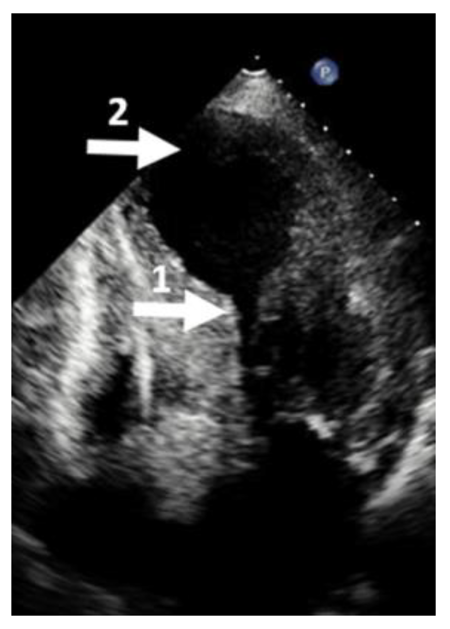 Diagnostics 13 01848 g006