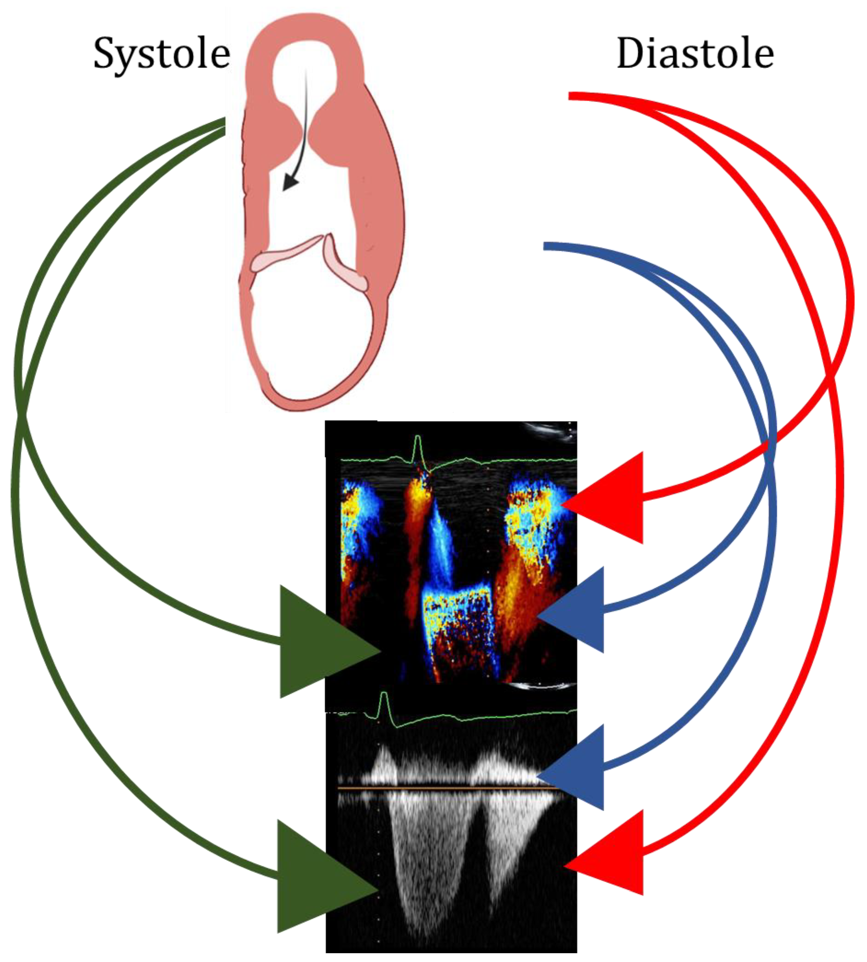 Diagnostics 13 01848 g008