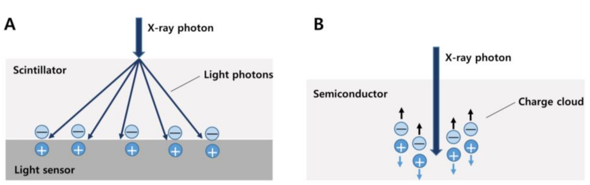 Diagnostics 13 01852 g005