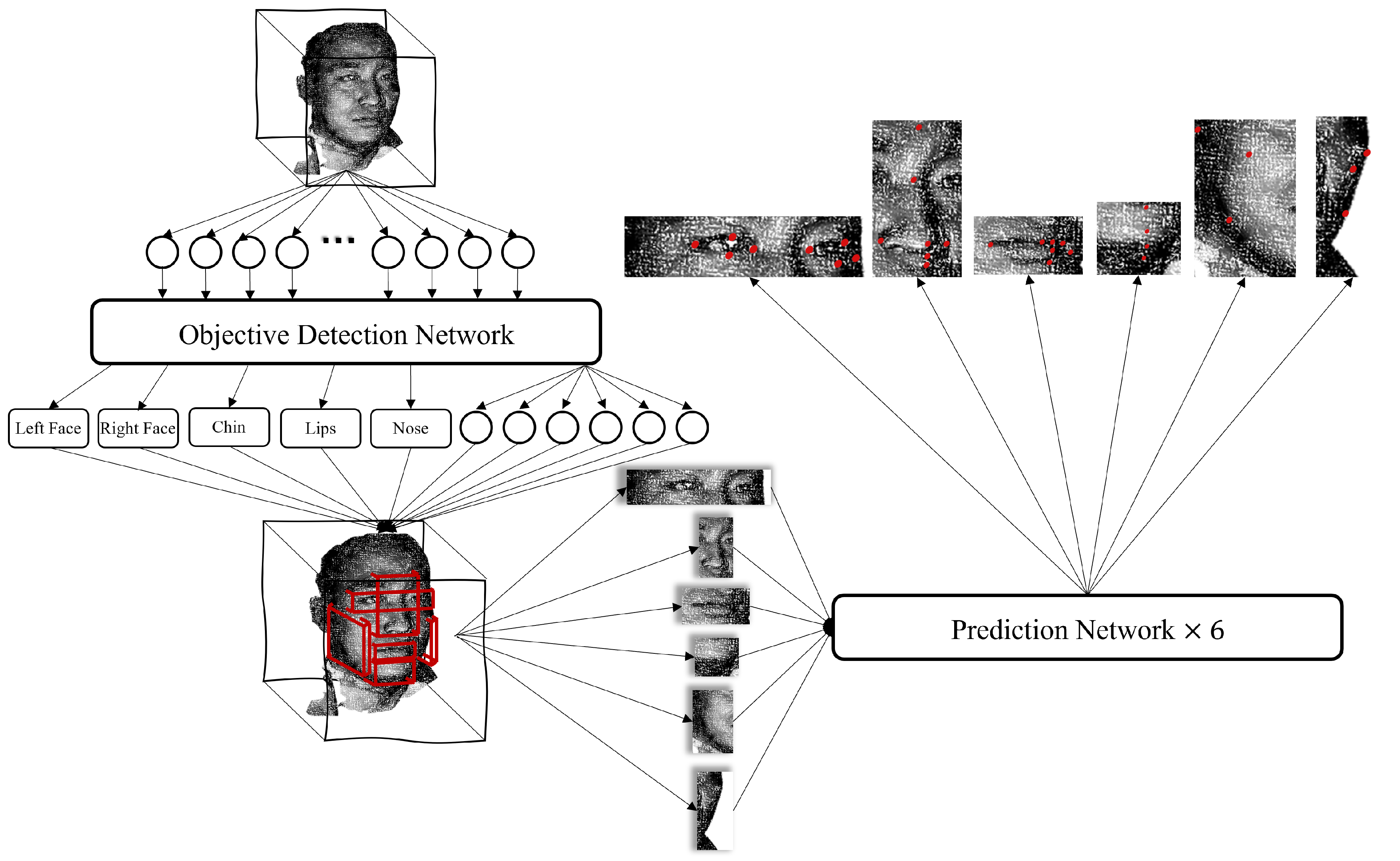 Diagnostics 13 01853 g002